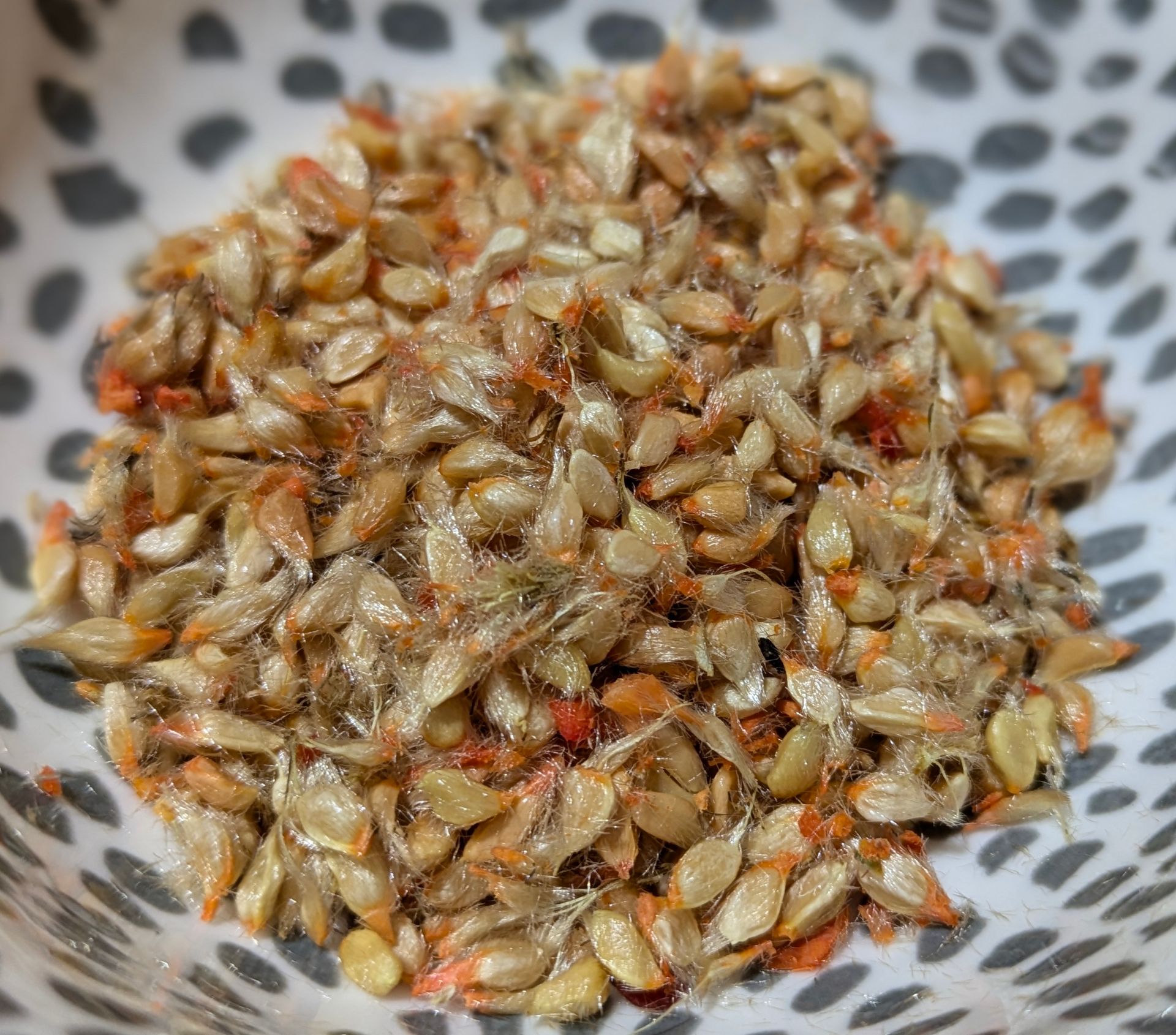 Sweet and Wild Rose Hip Syrup - A Recipe by Sue Cartwright, Spiral Leaf