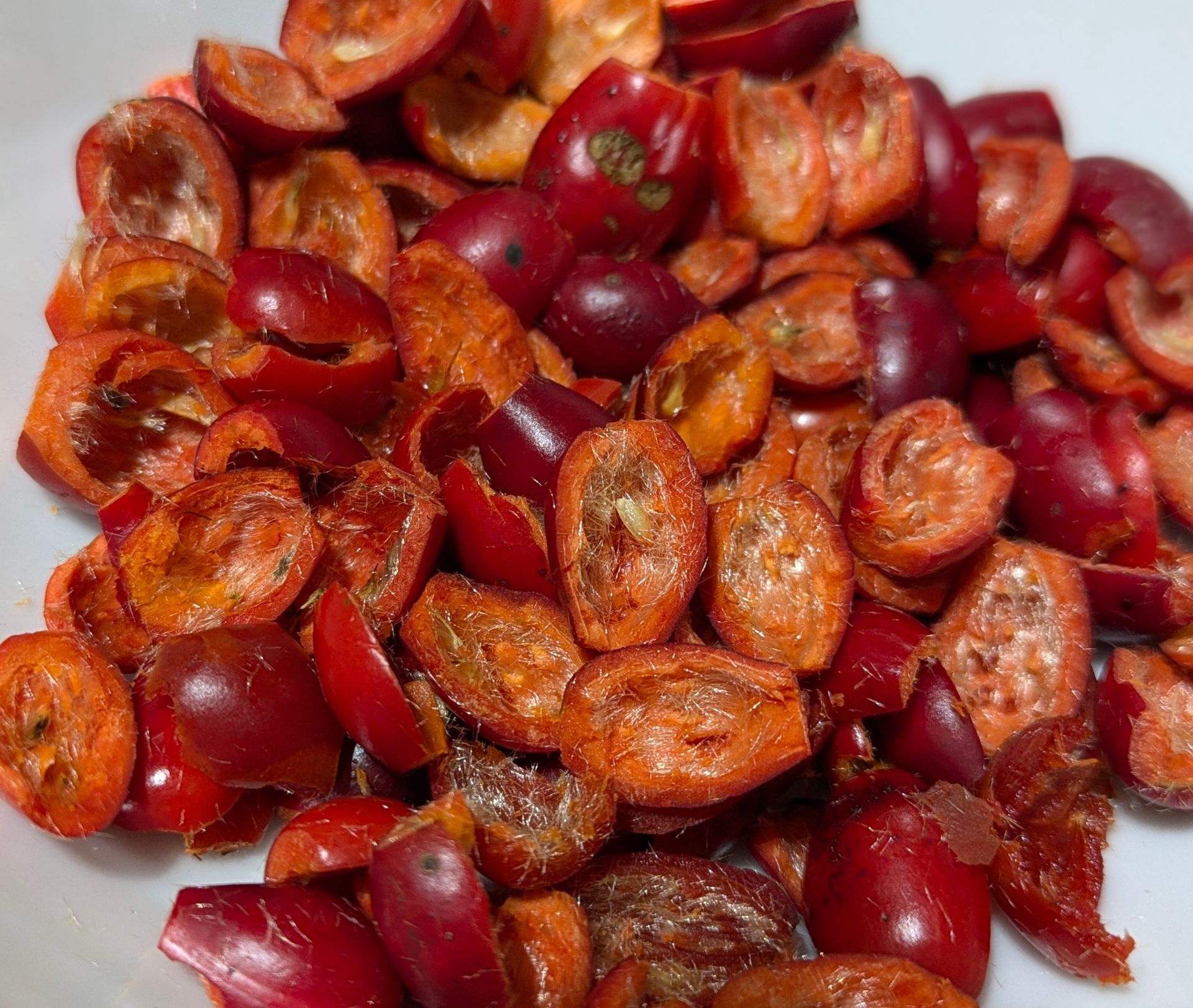 Sweet and Wild Rose Hip Syrup - A Recipe by Sue Cartwright, Spiral Leaf