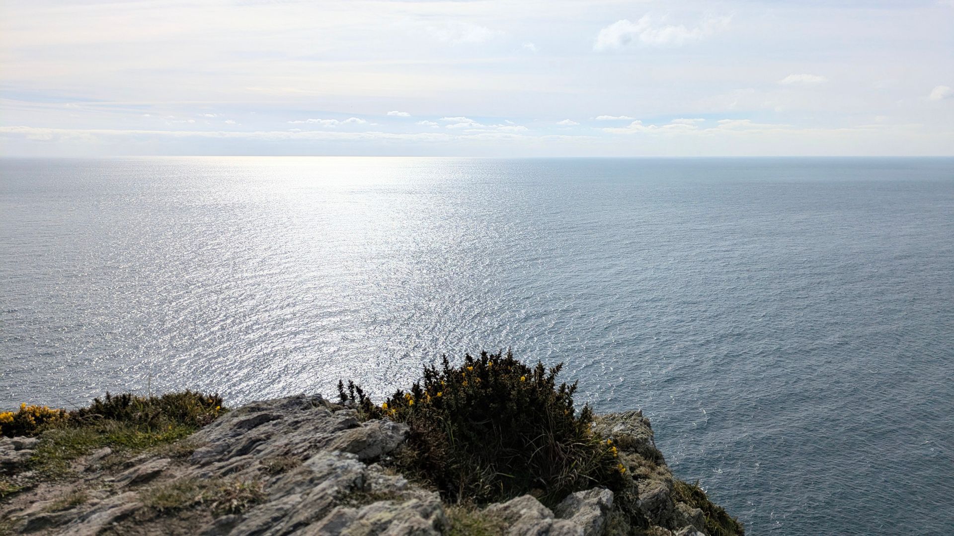Handpressed Artwork (Categorisation and Storage) - Sue Cartwright, Spiral Leaf