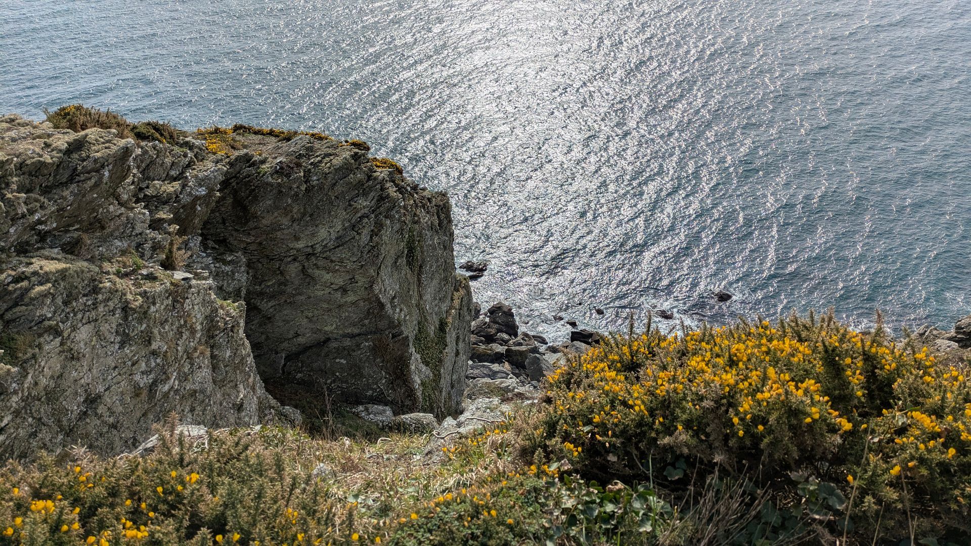 Coastal Path Gallery - Photograph by Sue Cartwright, Spiral Leaf
