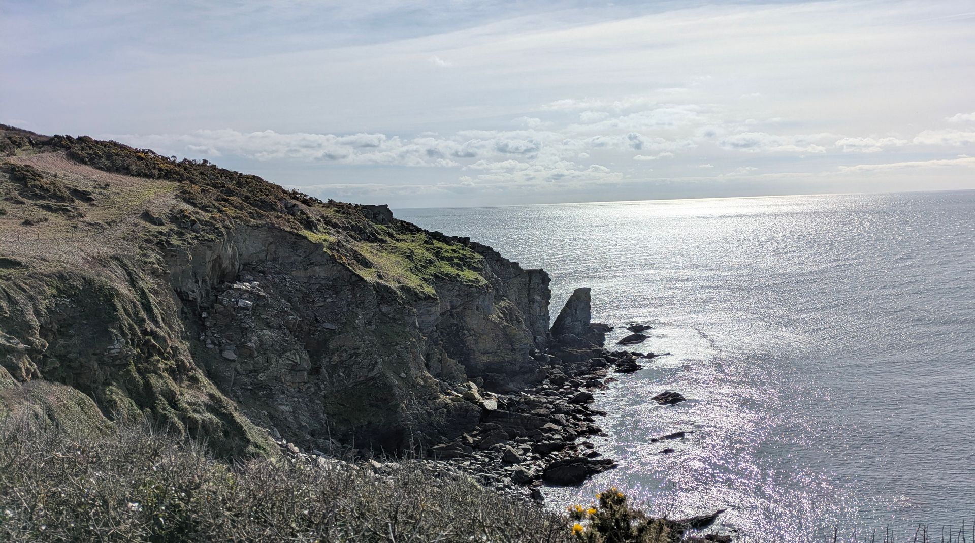 Coastal Path Gallery - Photograph by Sue Cartwright, Spiral Leaf