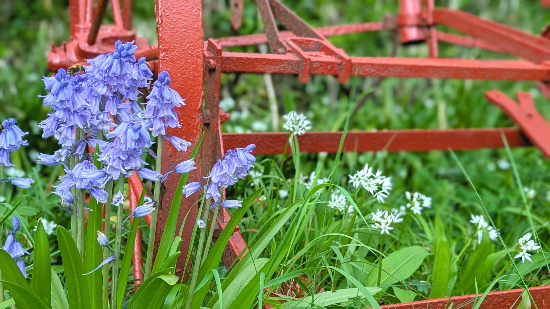 Spring Treasures Gallery - Photograph by Sue Cartwright, Spiral Leaf