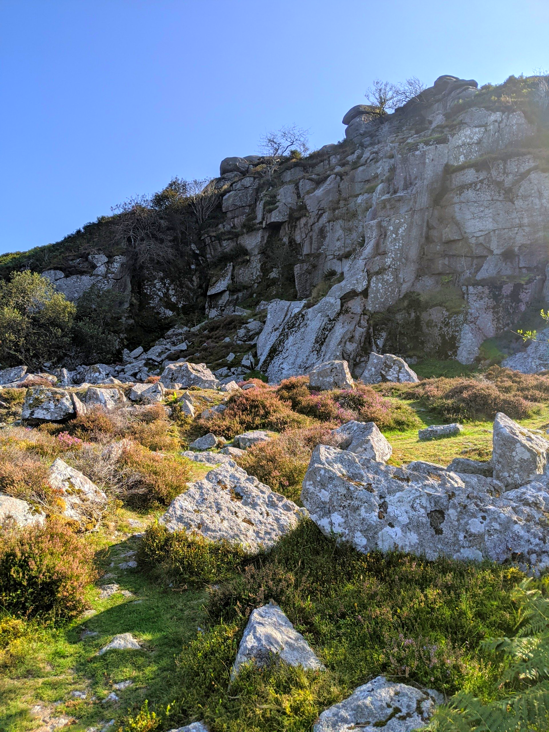 Moorland Gallery - Photograph by Sue Cartwright, Spiral Leaf