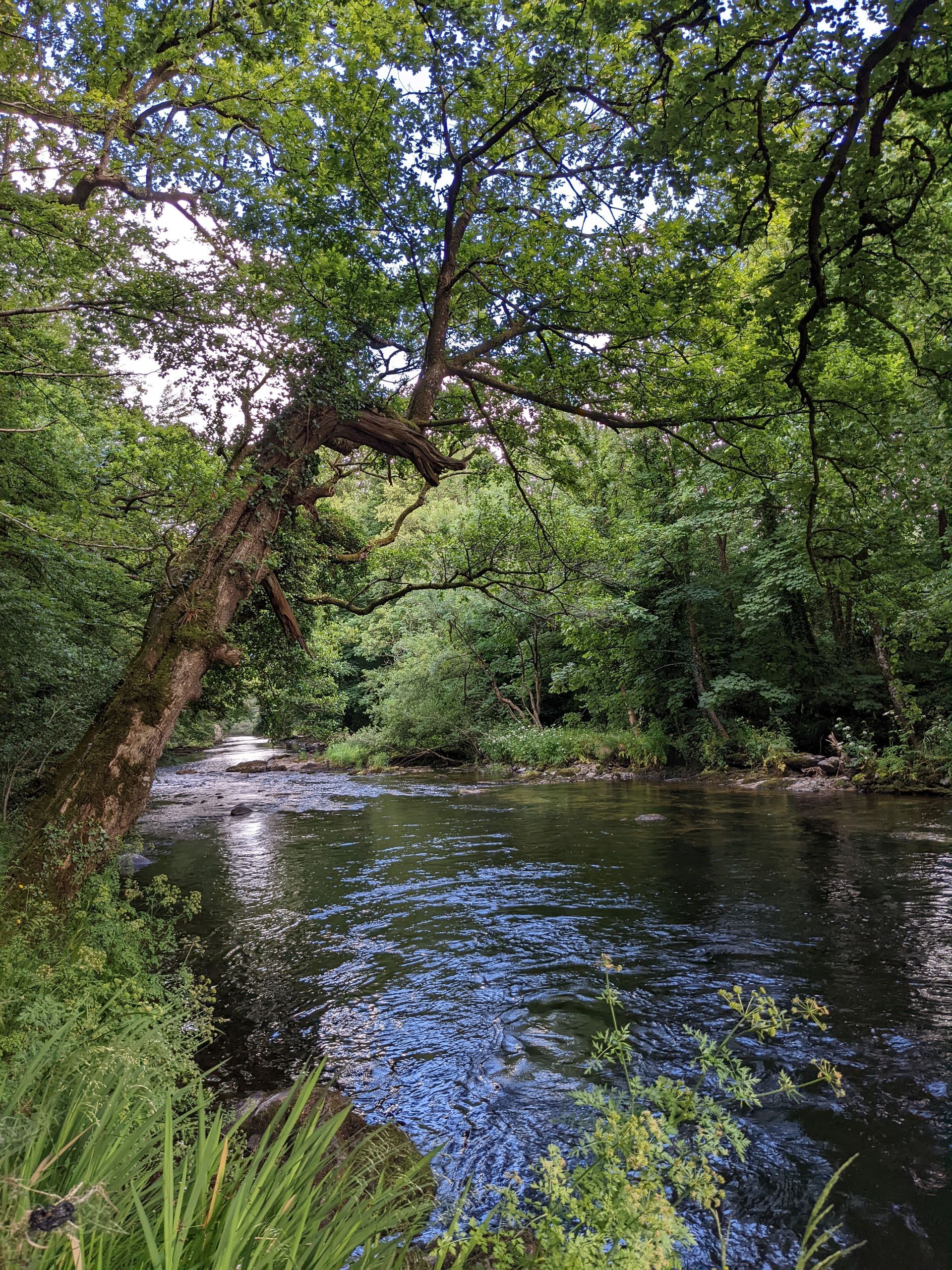 Be The Flow - A Poem by Sue Cartwright, Spiral Leaf