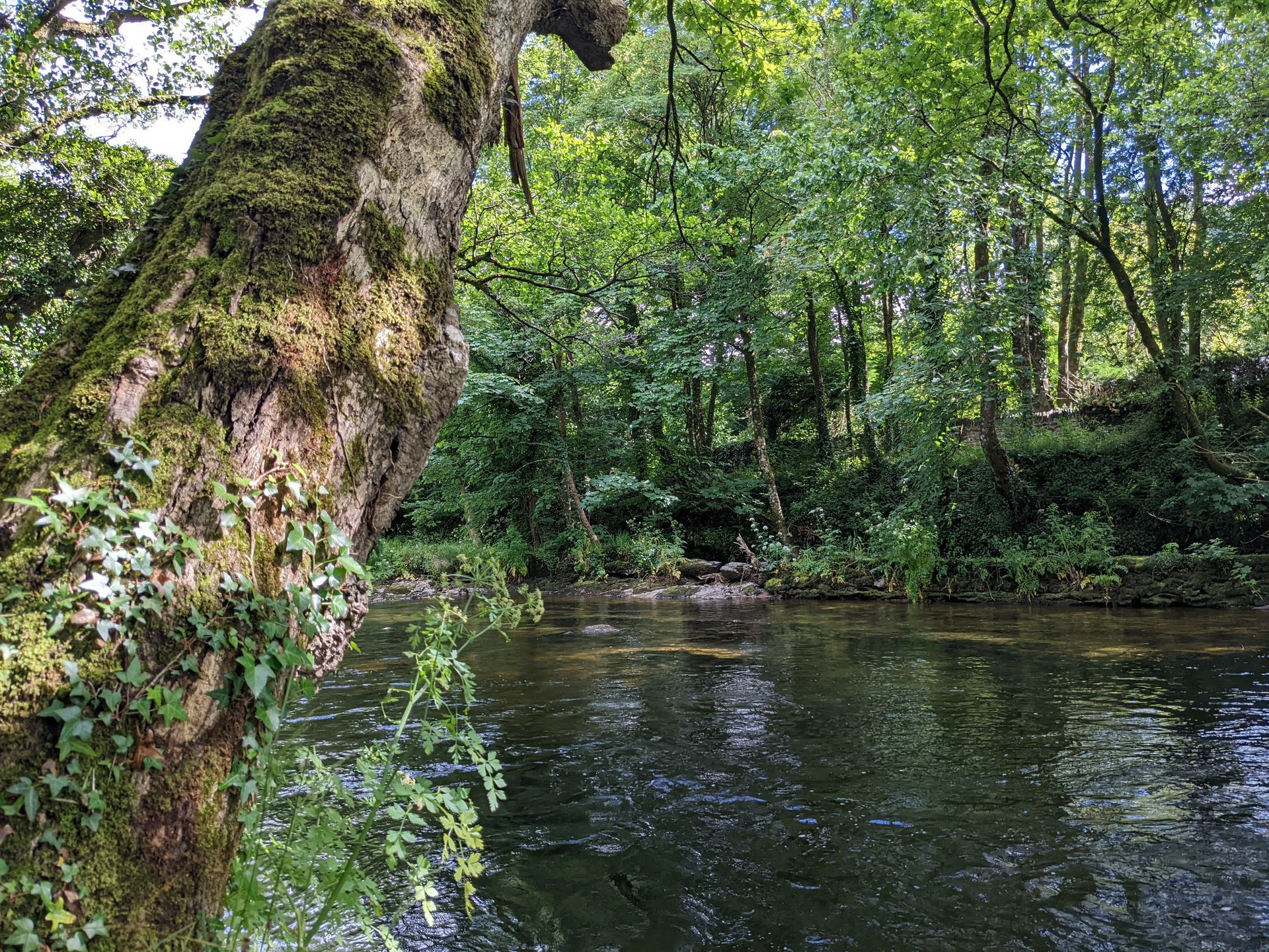 Planting Seeds for the Next Seven Generations by Sue Cartwright, Spiral Leaf
