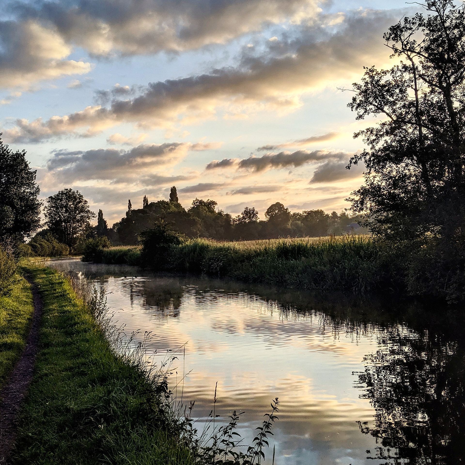 Lichen Gallery by Sue Cartwright, Spiral Leaf