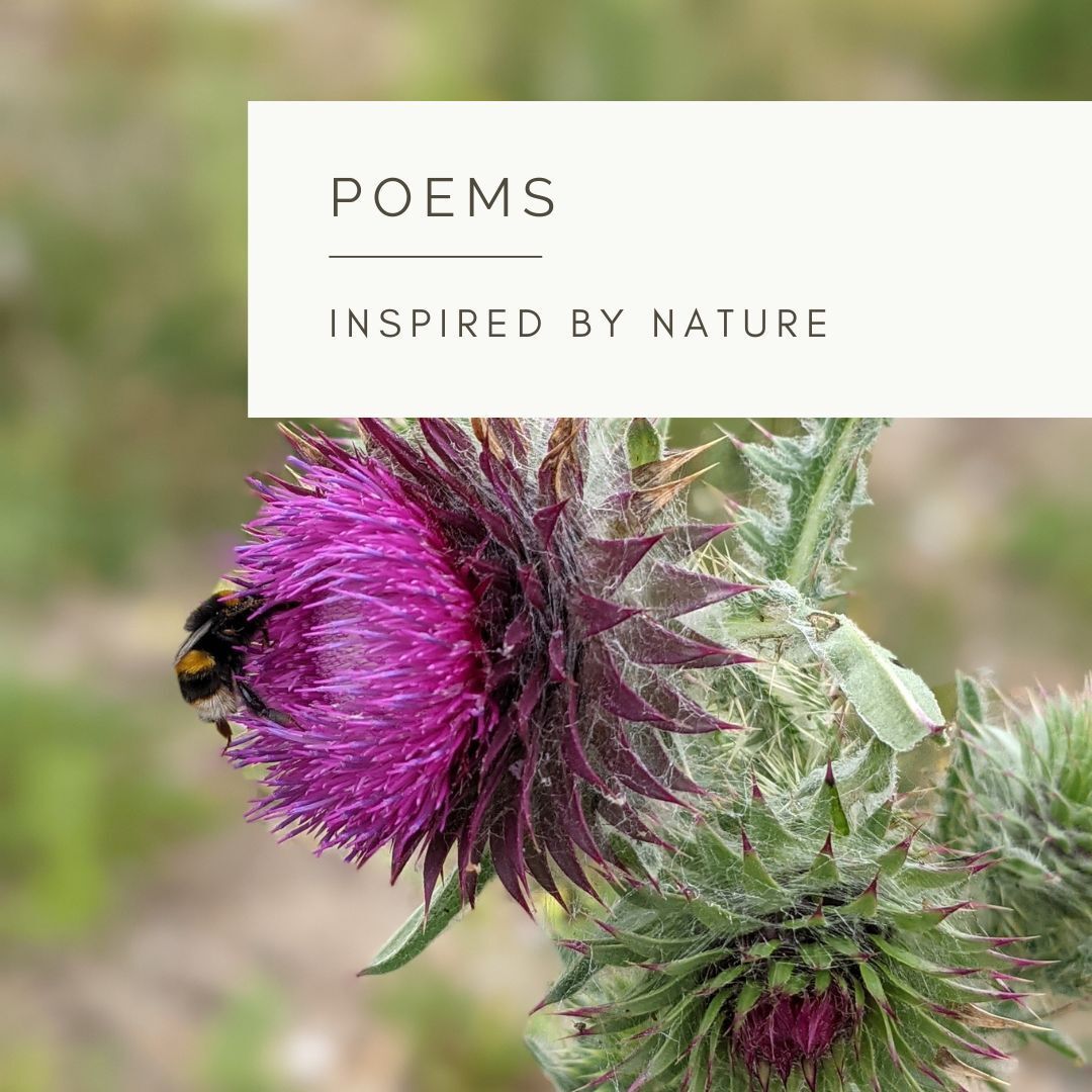 Sacred Bee - Poem and Video  by Sue Cartwright, Spiral Leaf