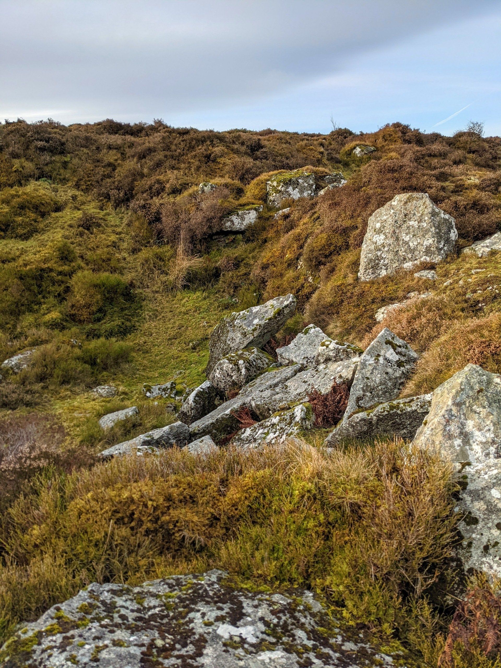 Moorland Gallery - Photograph by Sue Cartwright, Spiral Leaf