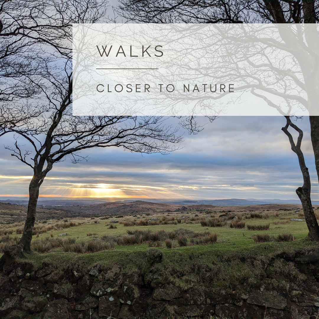 Song for the Earth - Poem and Video  by Sue Cartwright, Spiral Leaf