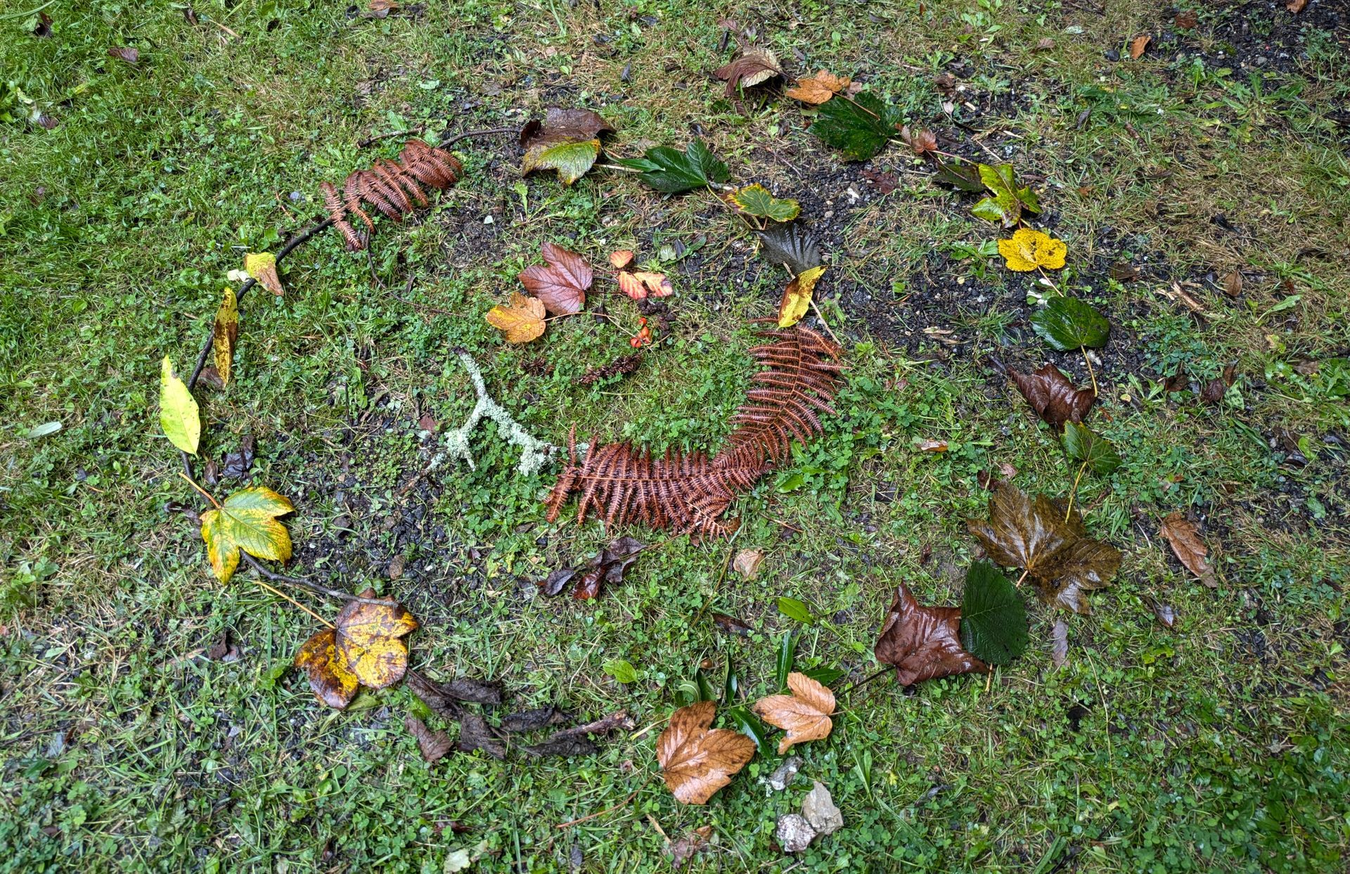 Welcome October (Almanac 2024) by Sue Cartwright, Spiral Leaf