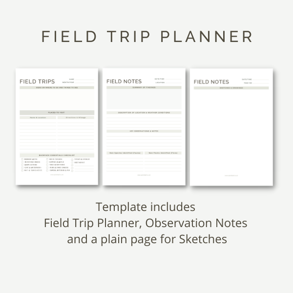 free-planners-to-help-you-get-closer-to-nature-everyday