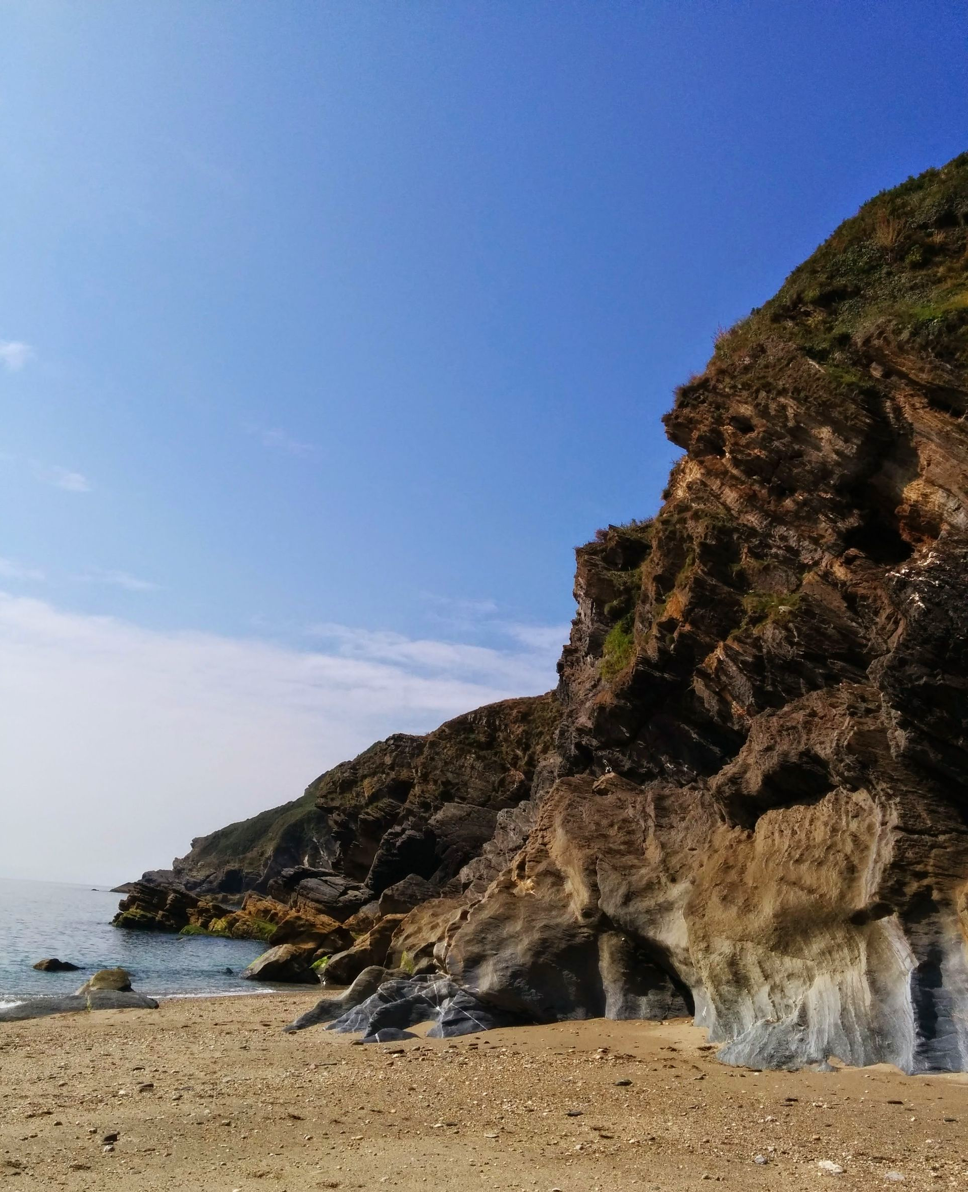 Summer Sun Gallery - Photographs by Sue Cartwright, Spiral Leaf