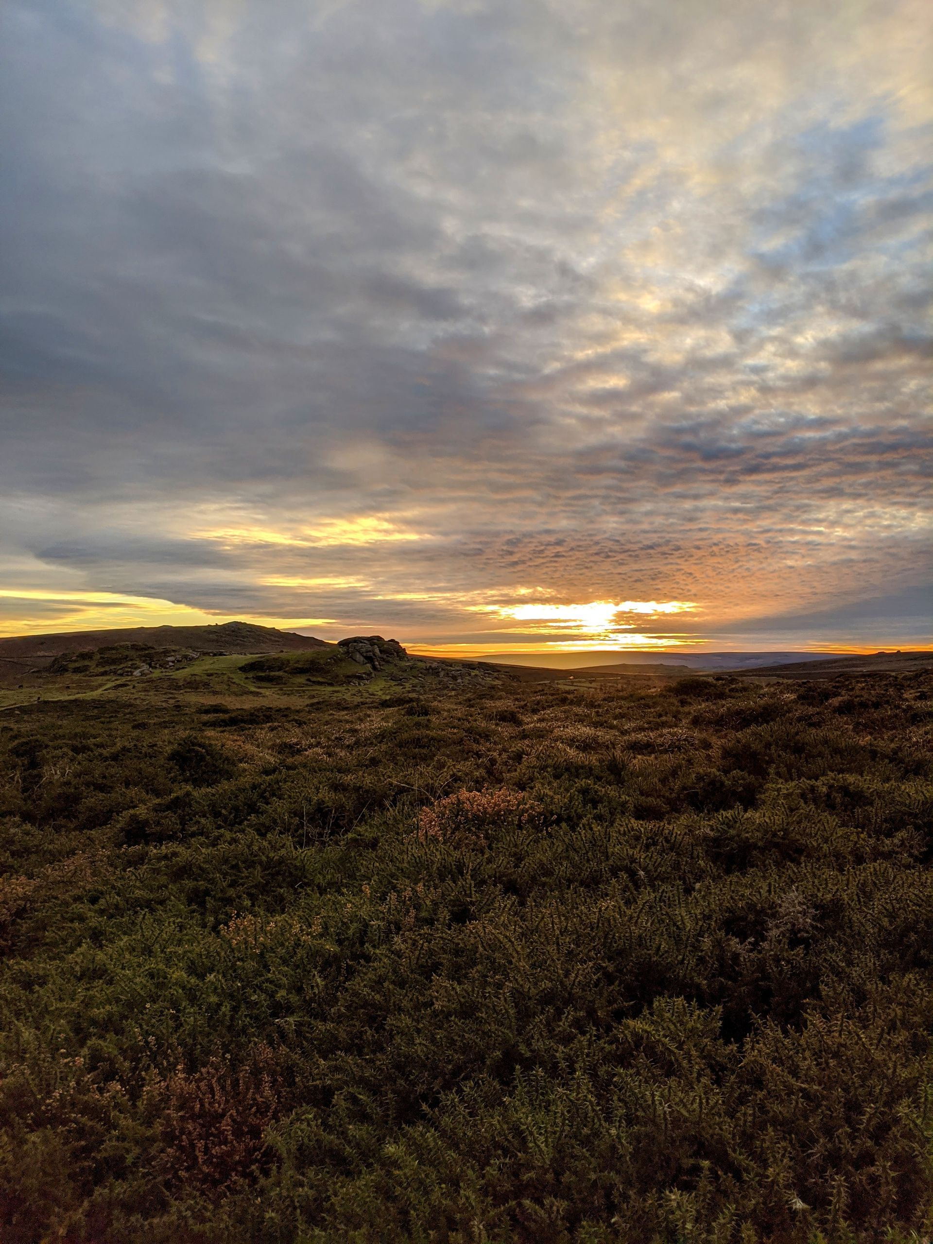 Sunset Sky Gallery by Sue Cartwright, Spiral Leaf
