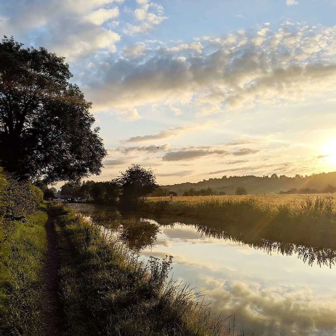 Lichen Gallery by Sue Cartwright, Spiral Leaf
