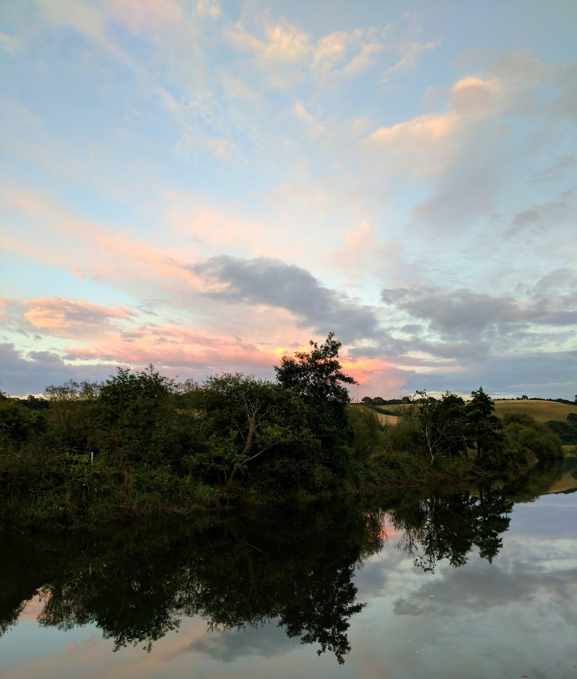 Sunset Sky Gallery - Photograph by Sue Cartwright, Spiral Leaf
