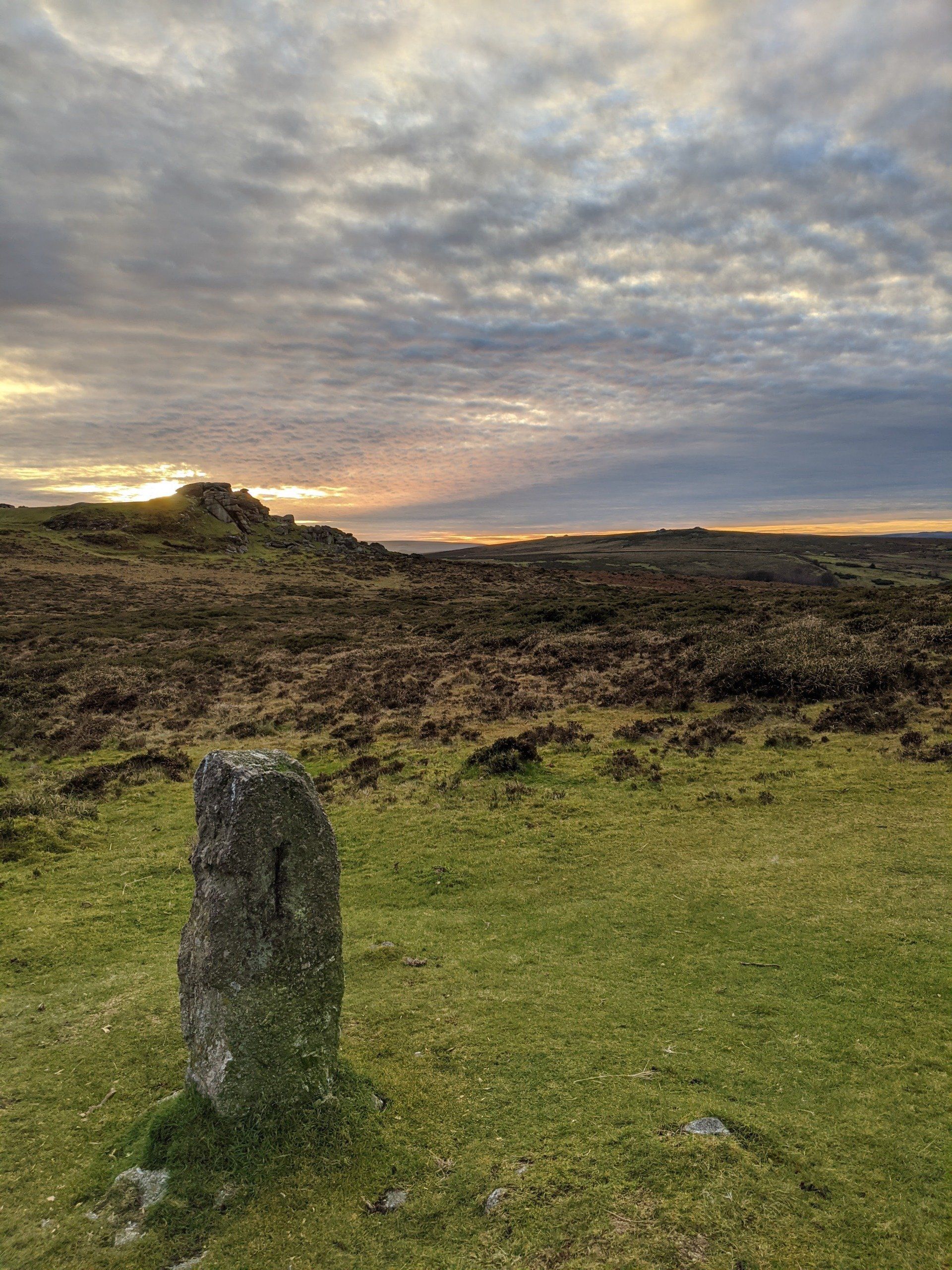 Dartmoor National Park by Sue Cartwright, Spiral Leaf