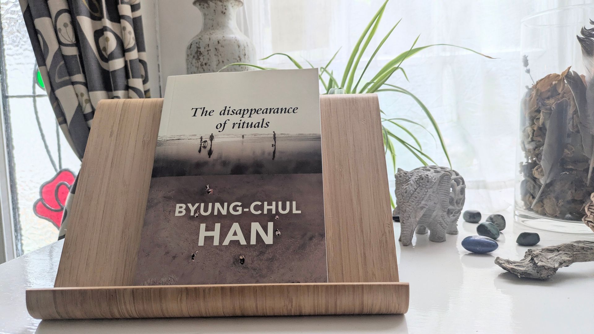 A book review on The Disappearance of Rituals by Byung-Chul Han