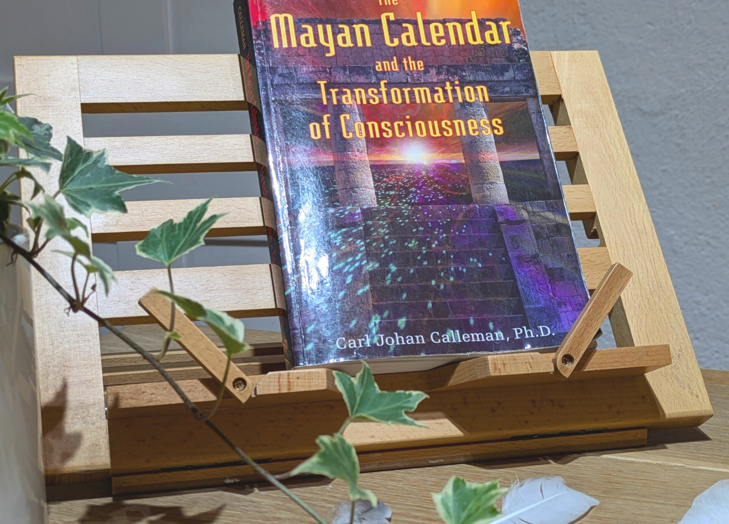 The Mayan Calendar by Carl Johan Calleman PhD - A Book Review by Sue Cartwright, Spiral Leaf