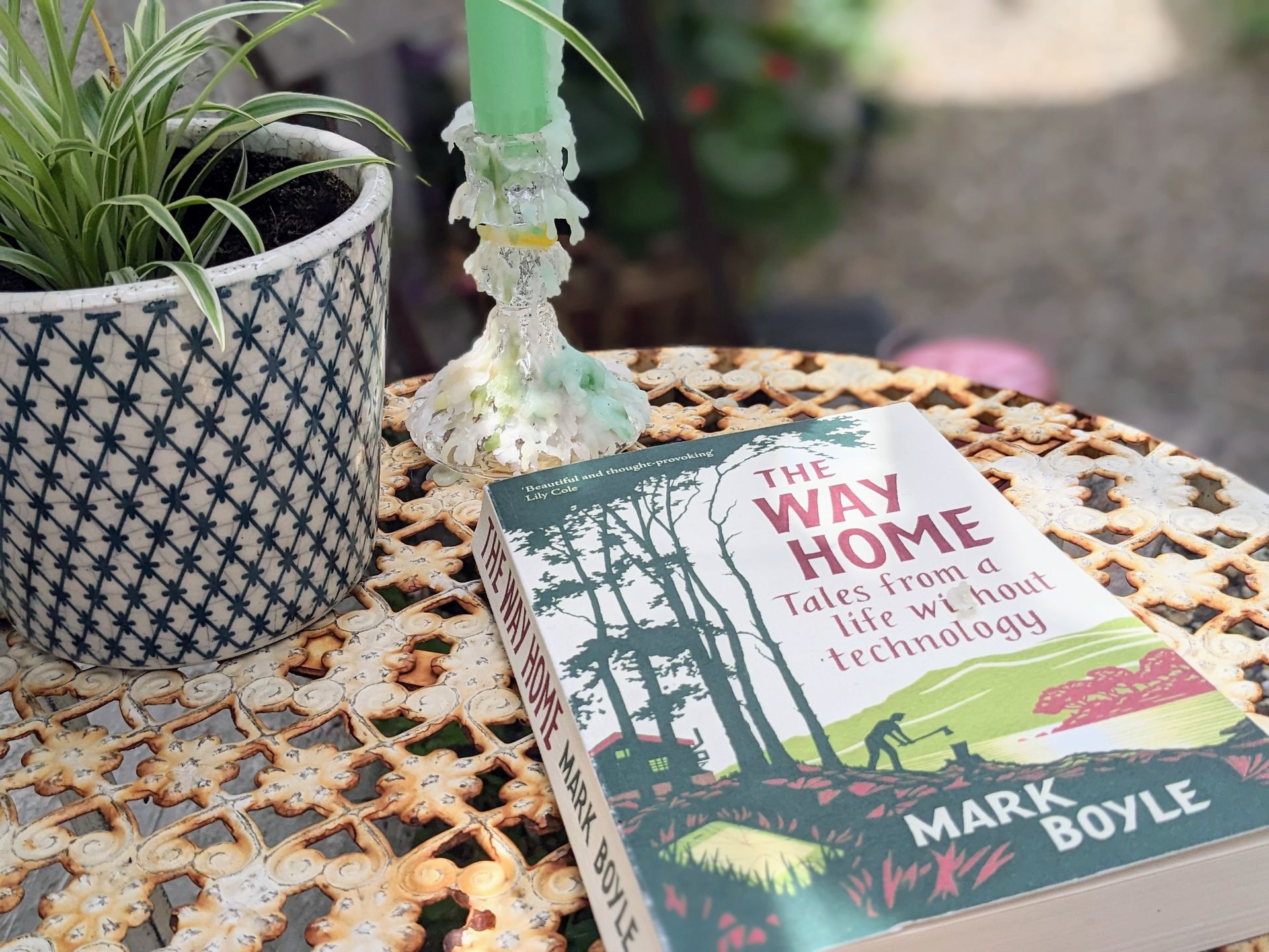 The Way Home by Mark Boyle - Book Review by Sue Cartwright, Spiral Leaf