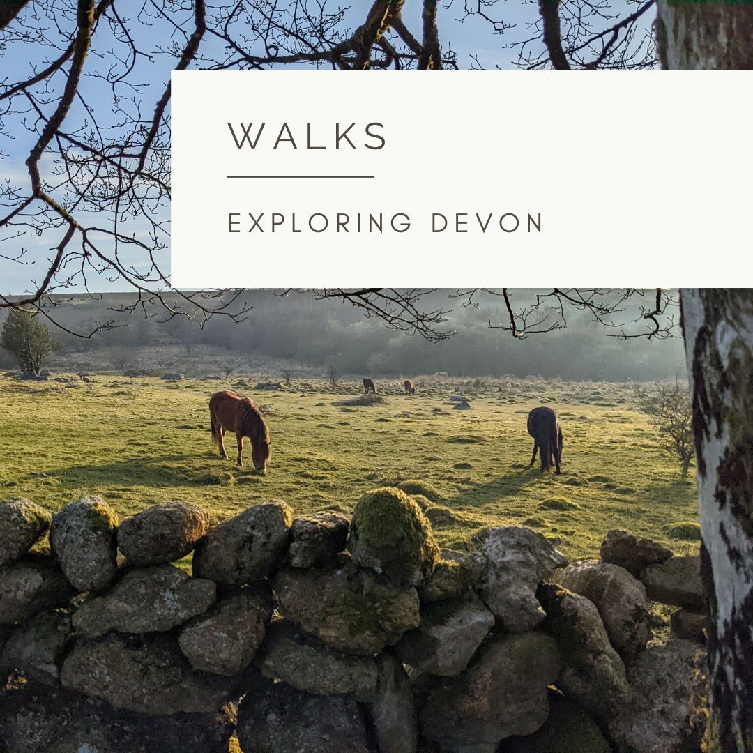 A Walk on the Mire - Poem and Video by Sue Cartwright, Spiral Leaf