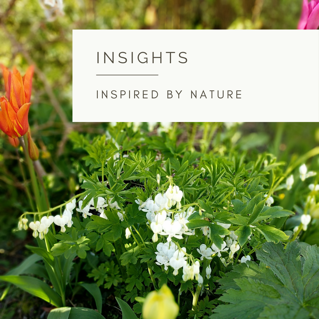 A Garden to Heal- Poem and Video by Sue Cartwright, Spiral Leaf