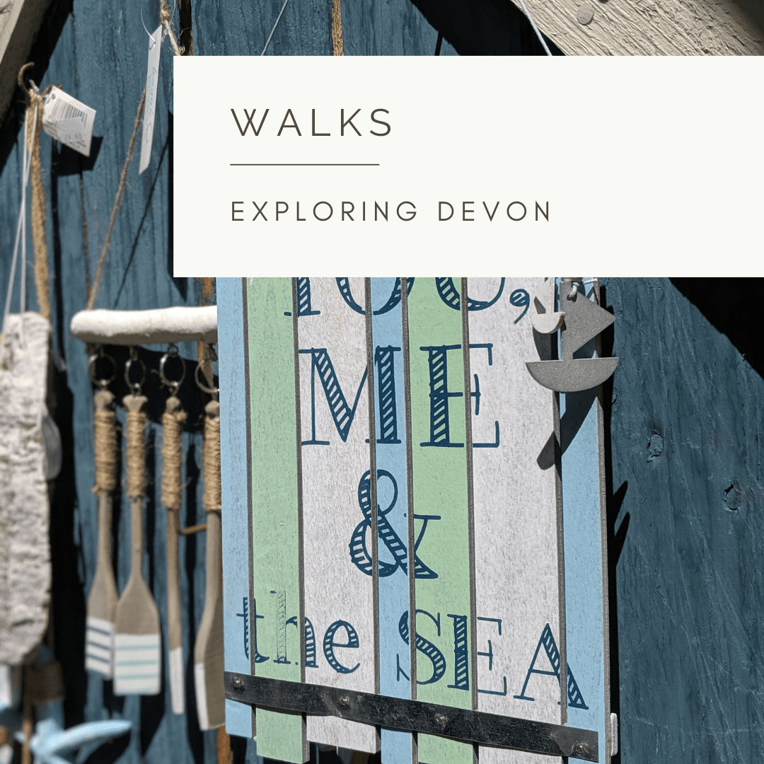 A Walk by the Seaside - Poem and Video by Sue Cartwright, Spiral Leaf