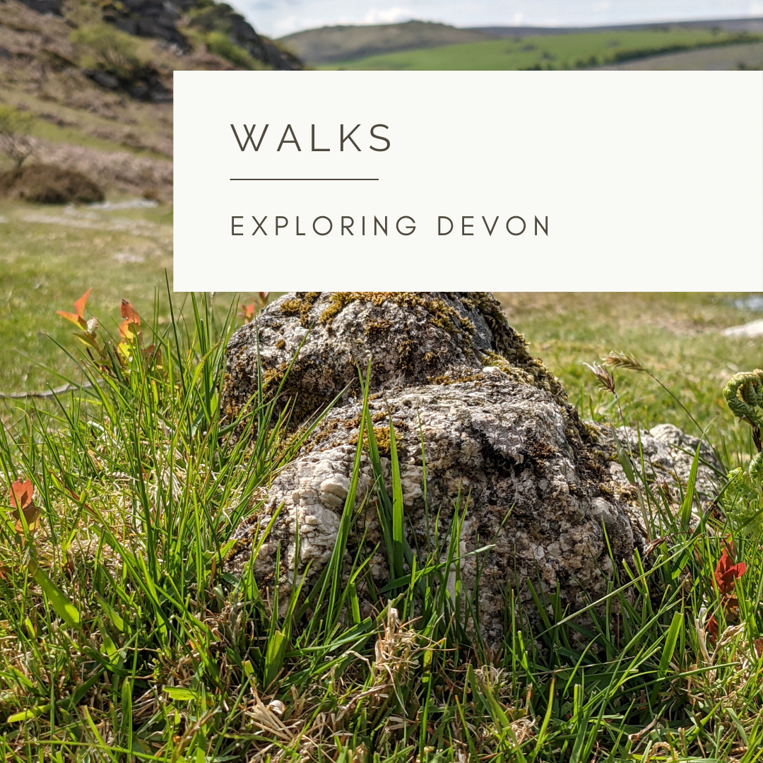 A Walk on Dartmoor - Poem and Video by Sue Cartwright, Spiral Leaf
