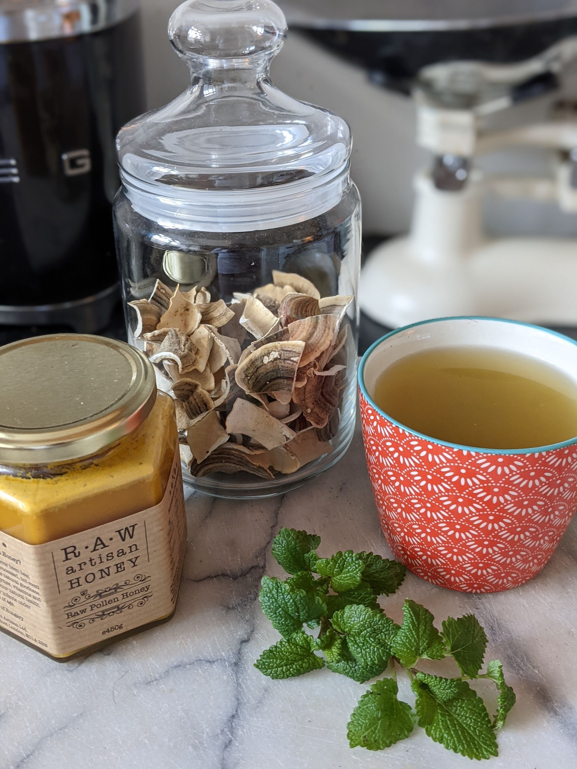 Turbo Boost Turkey Tail Tea - A Remedy by Sue Cartwright, Spiral Leaf