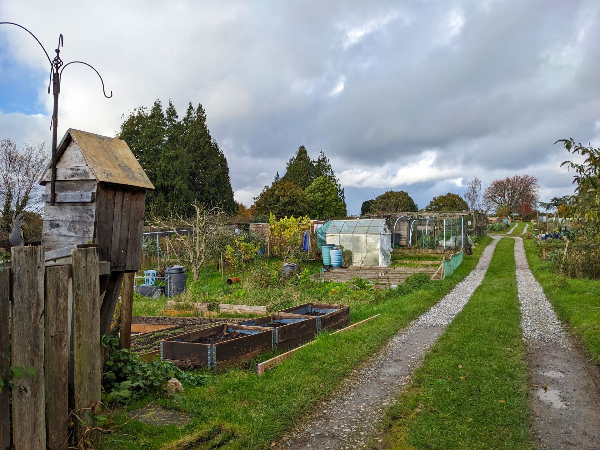 Urban Wild Gallery - Photograph by Sue Cartwright, Spiral Leaf