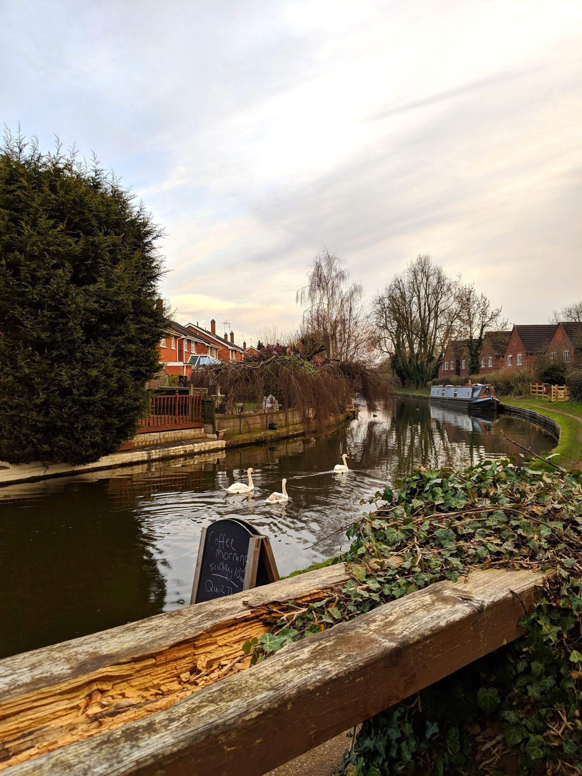 Urban Wild Gallery - Photograph by Sue Cartwright, Spiral Leaf