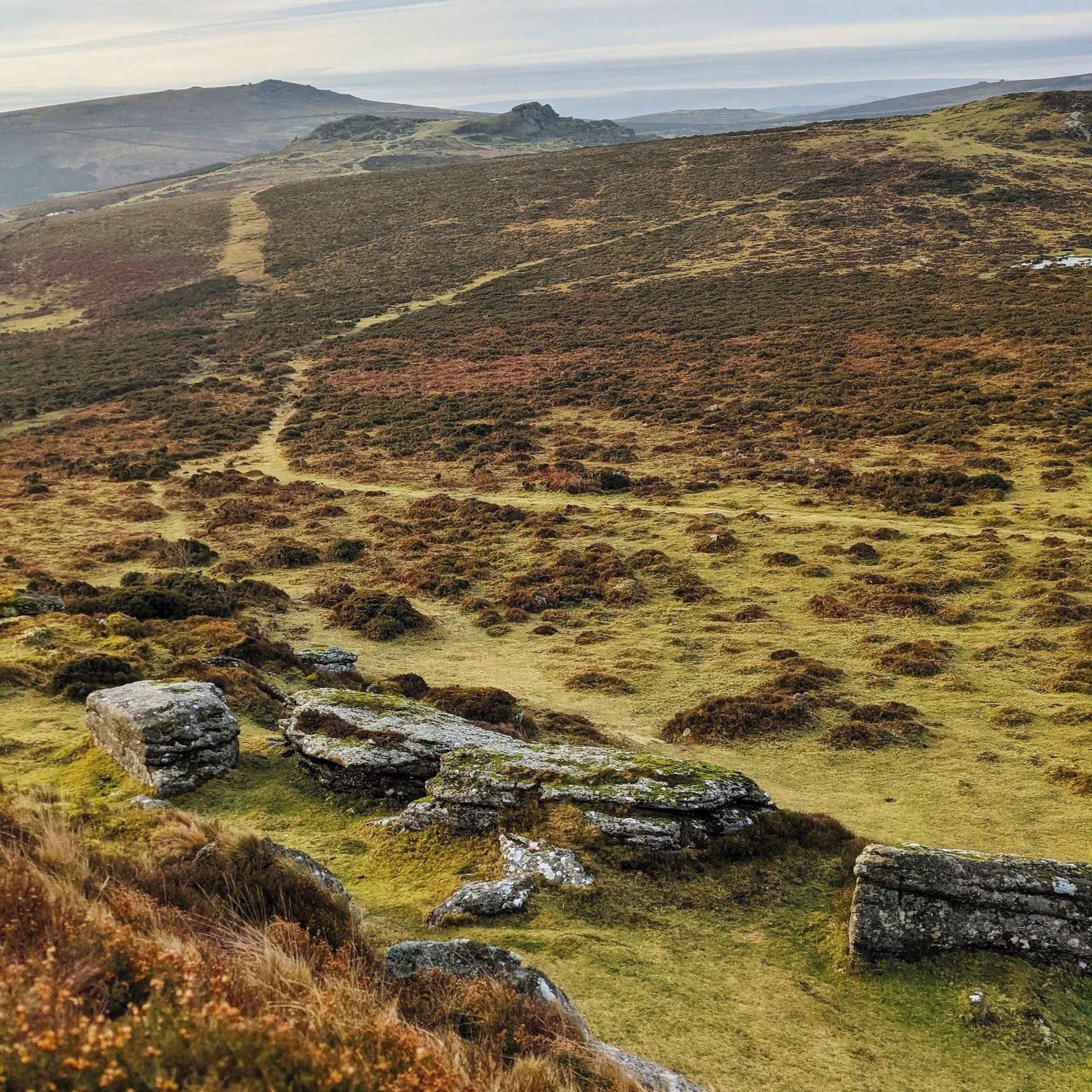 Walking On Dartmoor by Sue Cartwright, Spiral Leaf