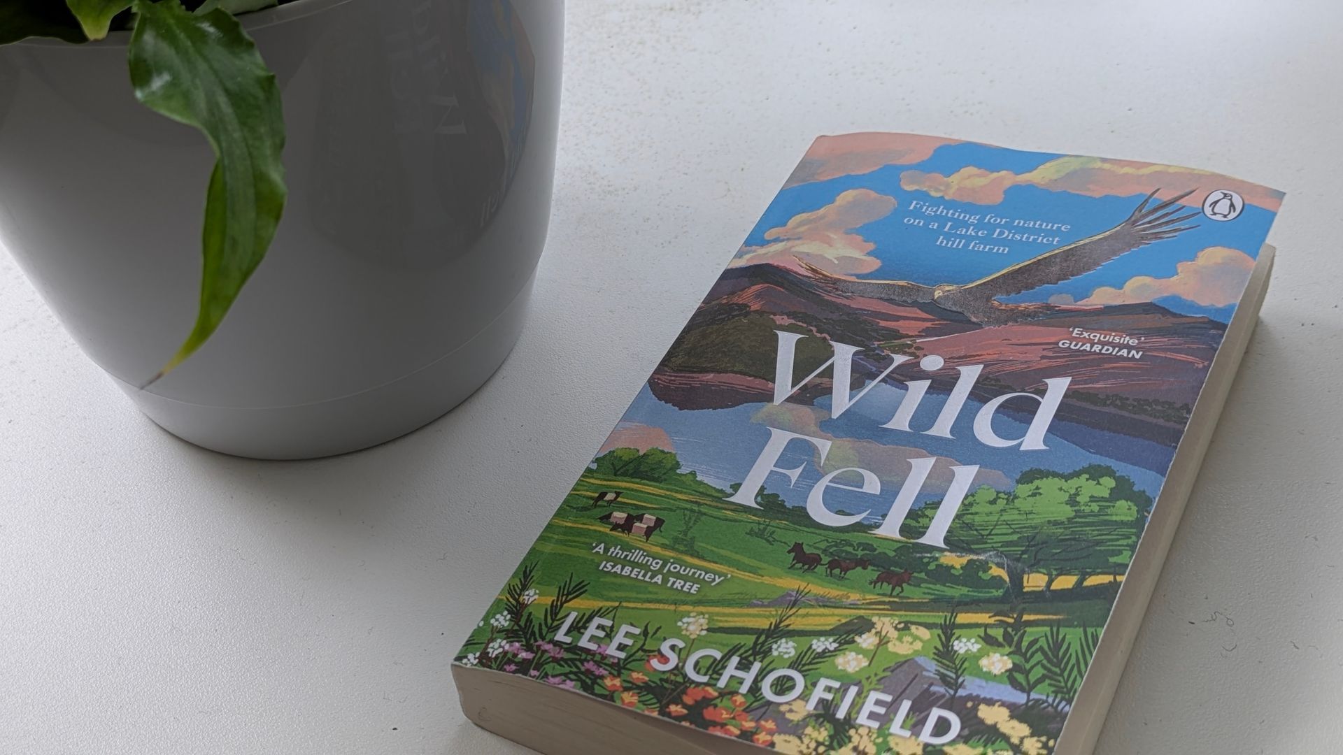 Wild Fell by Lee Schofield - A book review by Sue Cartwright, Spiral Leaf