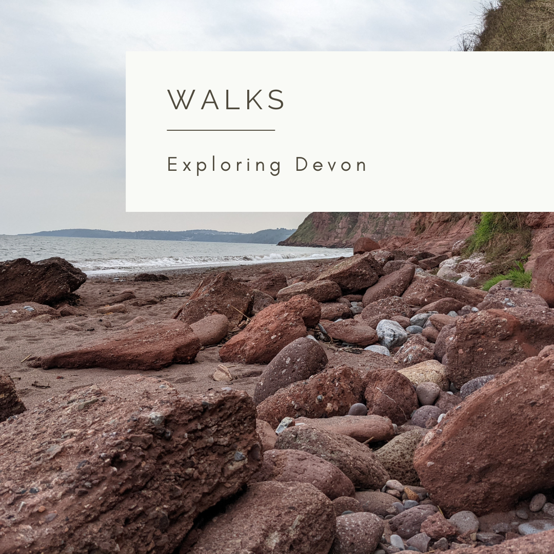 Walk With Me - Poem and Video by Sue Cartwright, Spiral Leaf