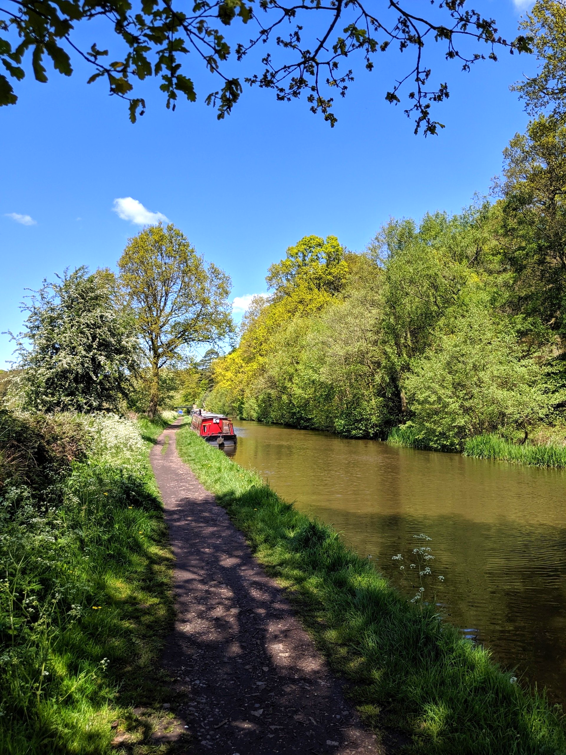 Waterways Gallery - Photograph by Sue Cartwright, Spiral Leaf