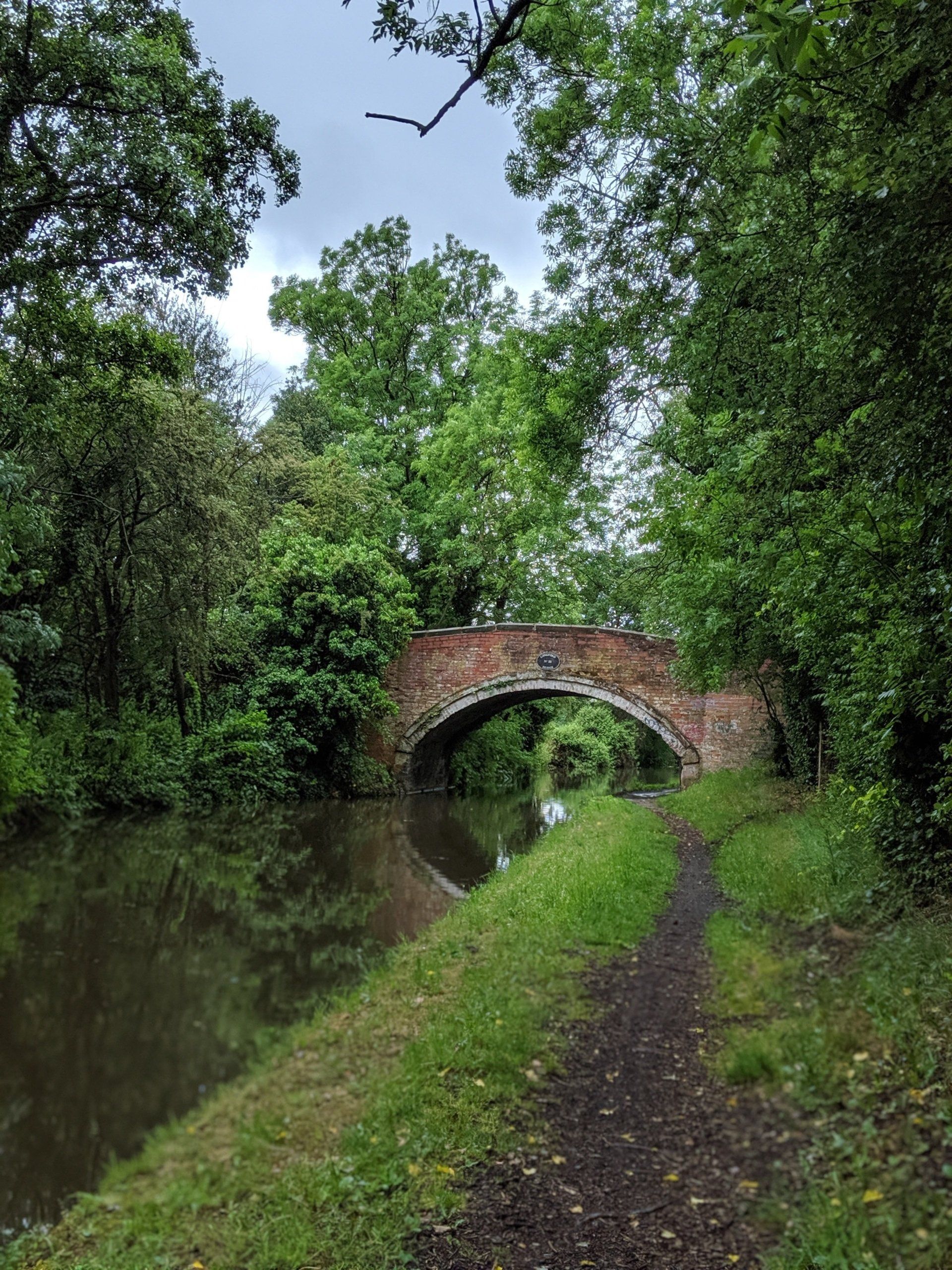 Waterways Gallery by Sue Cartwright, Spiral Leaf