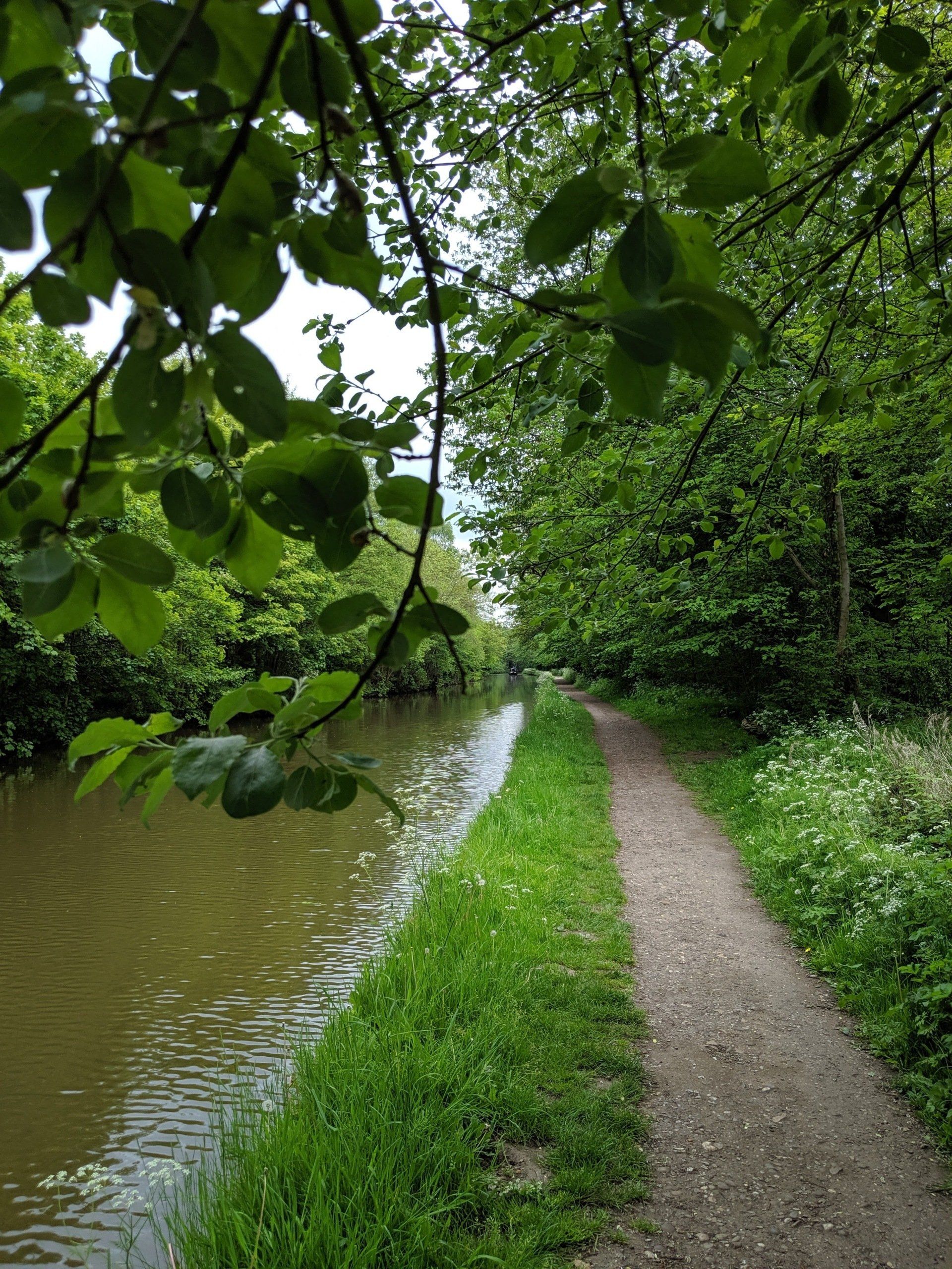Waterways Gallery - Photograph by Sue Cartwright, Spiral Leaf