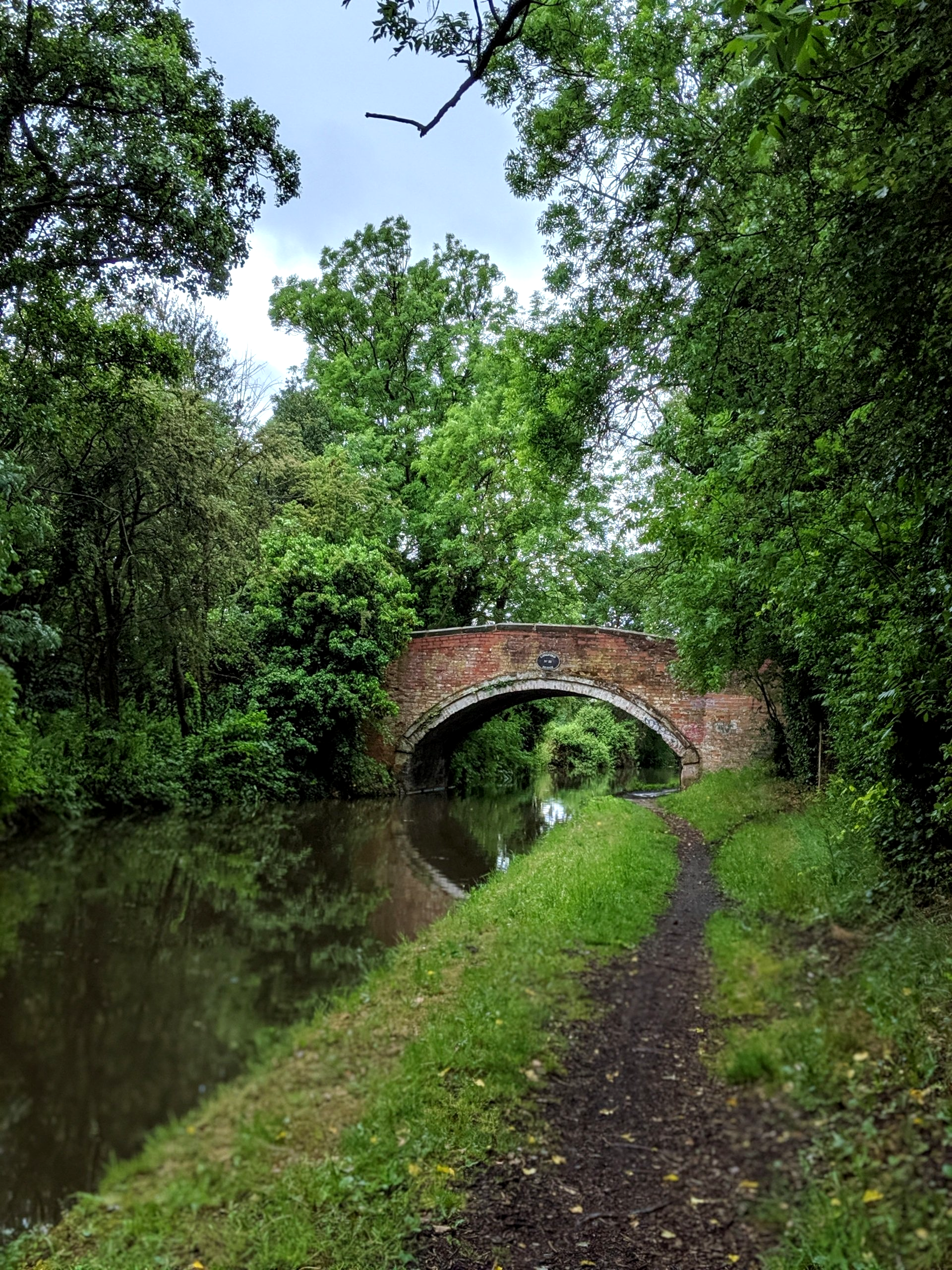 Waterways Gallery - Photograph by Sue Cartwright, Spiral Leaf
