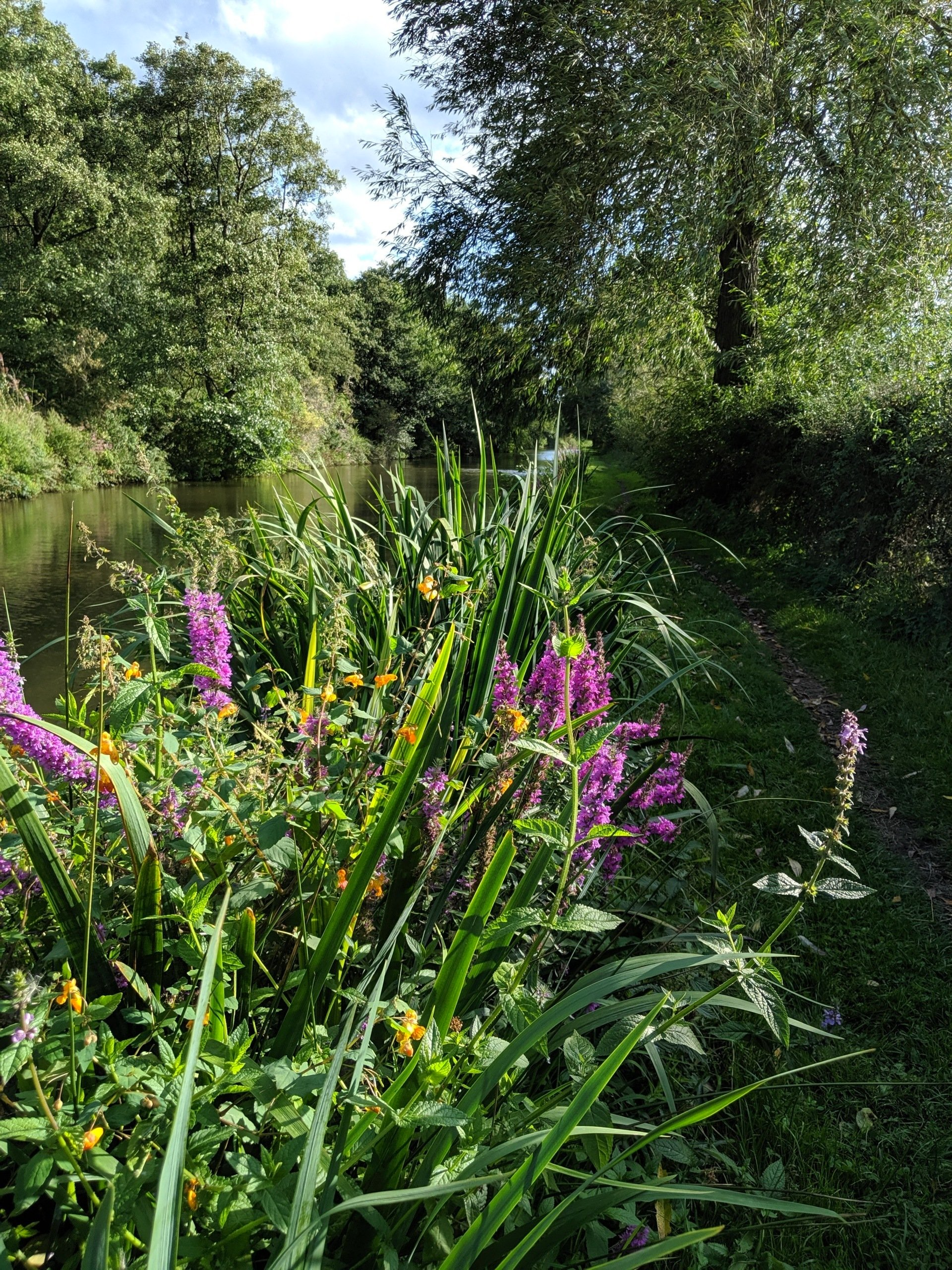 Waterways Gallery - Photograph by Sue Cartwright, Spiral Leaf