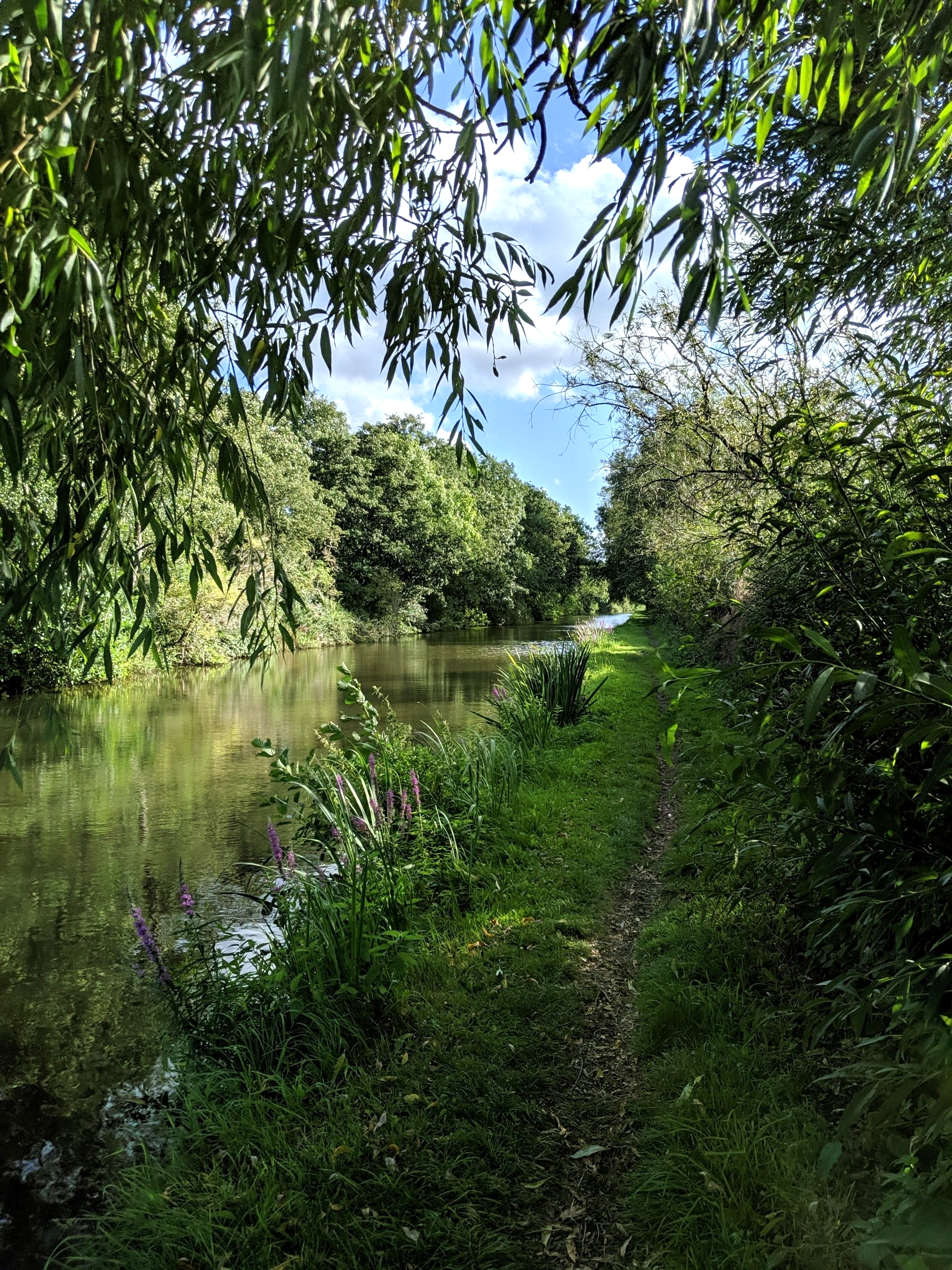 Waterways Gallery - Photograph by Sue Cartwright, Spiral Leaf