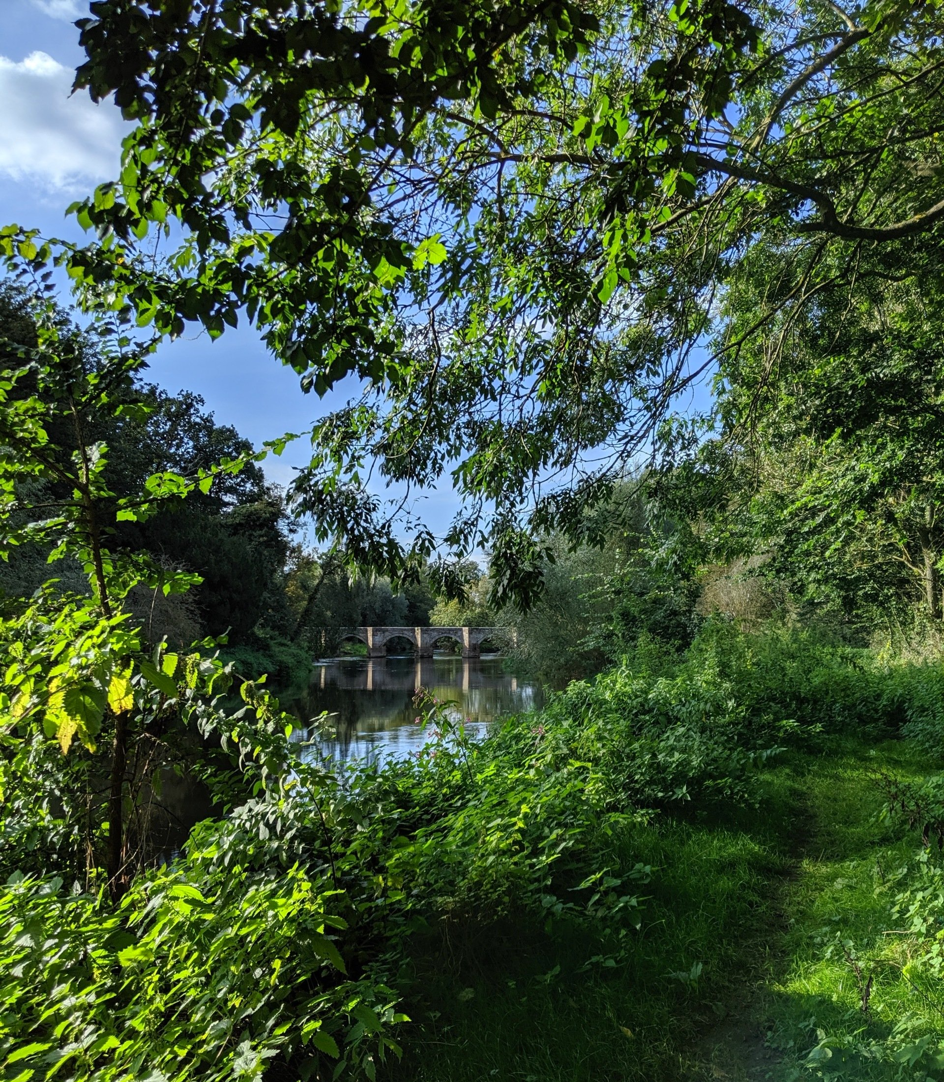 Waterways Gallery - Photograph by Sue Cartwright, Spiral Leaf