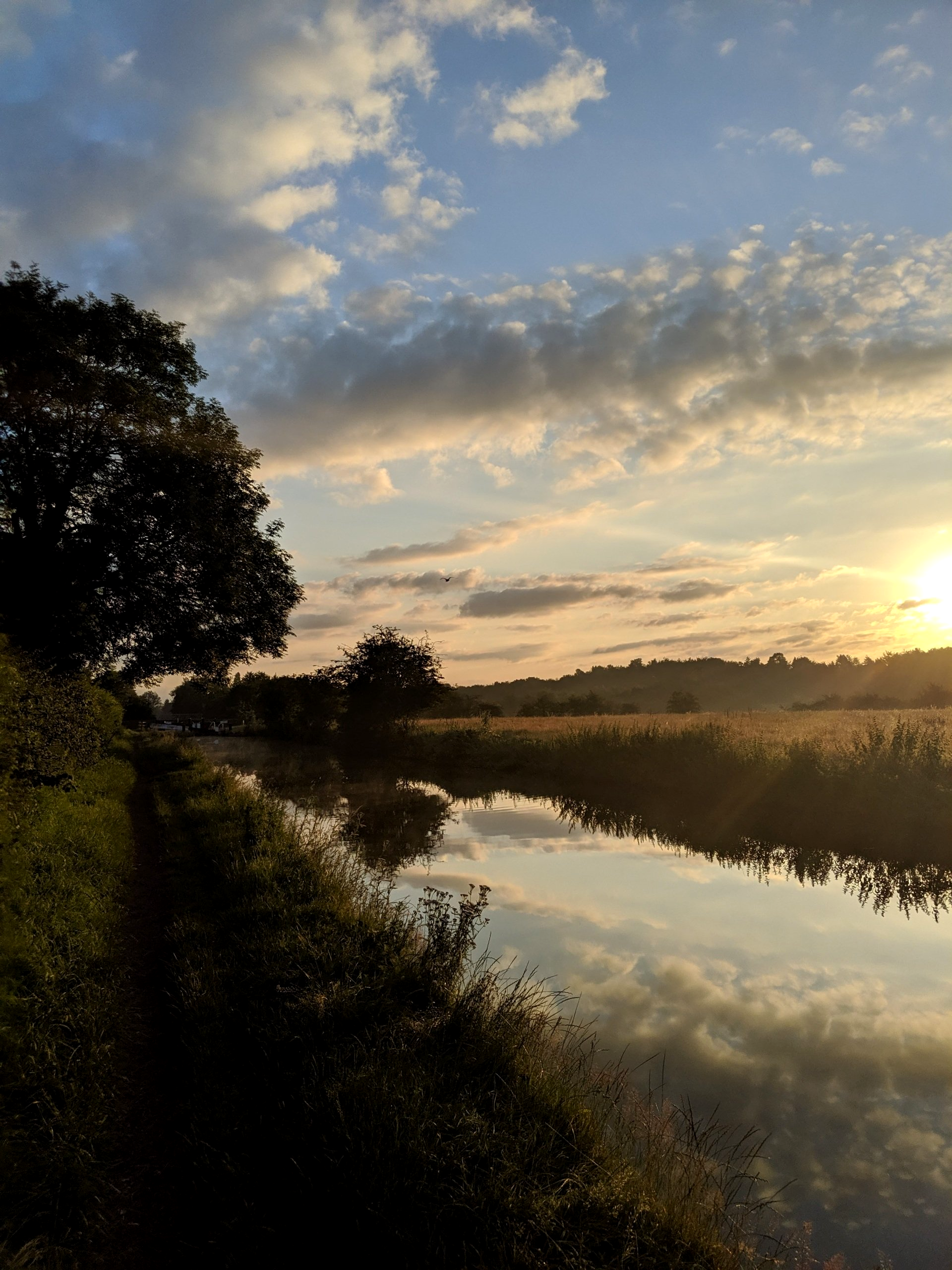 Waterways Gallery - Photograph by Sue Cartwright, Spiral Leaf