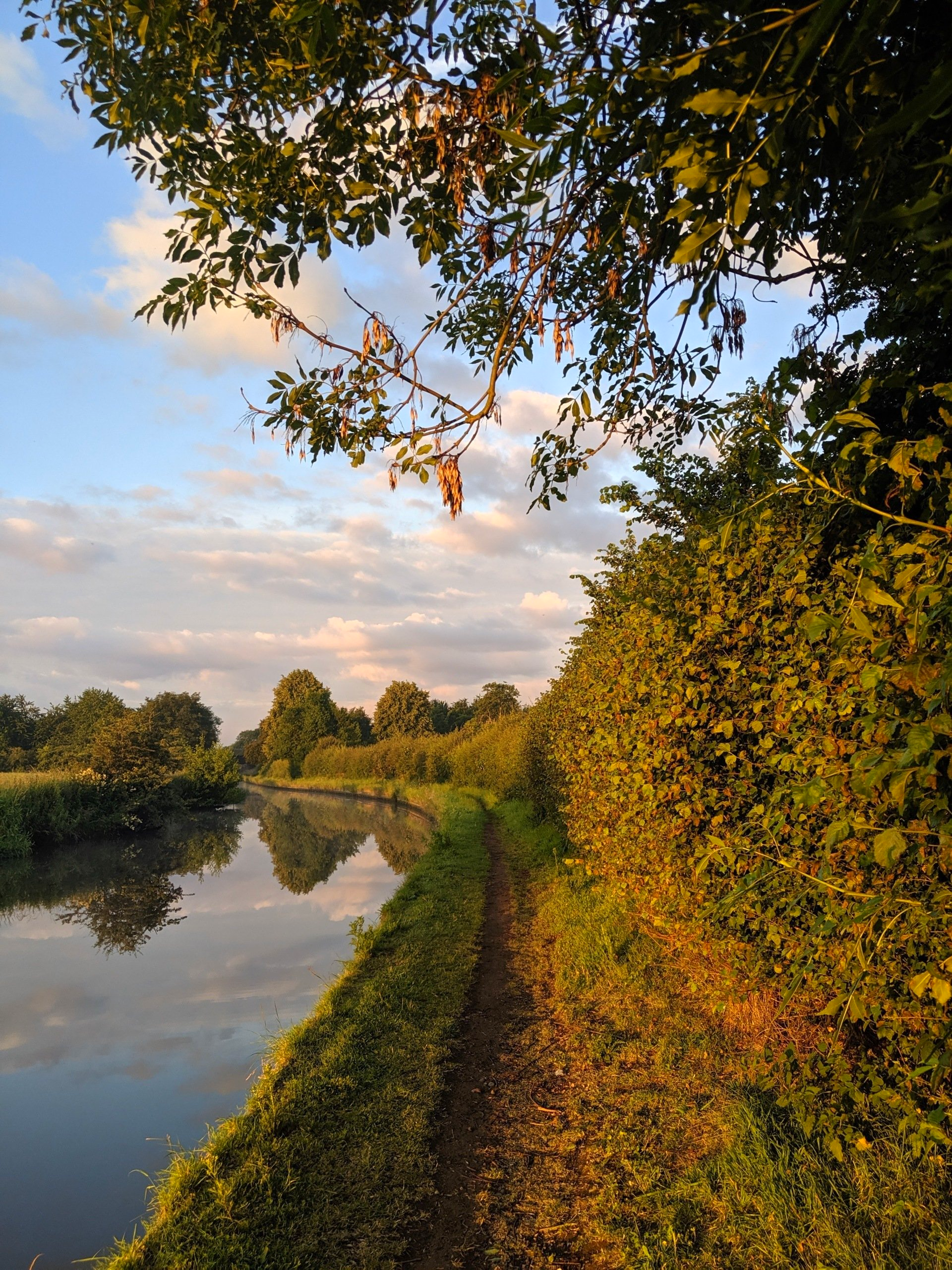 Waterways Gallery - Photograph by Sue Cartwright, Spiral Leaf
