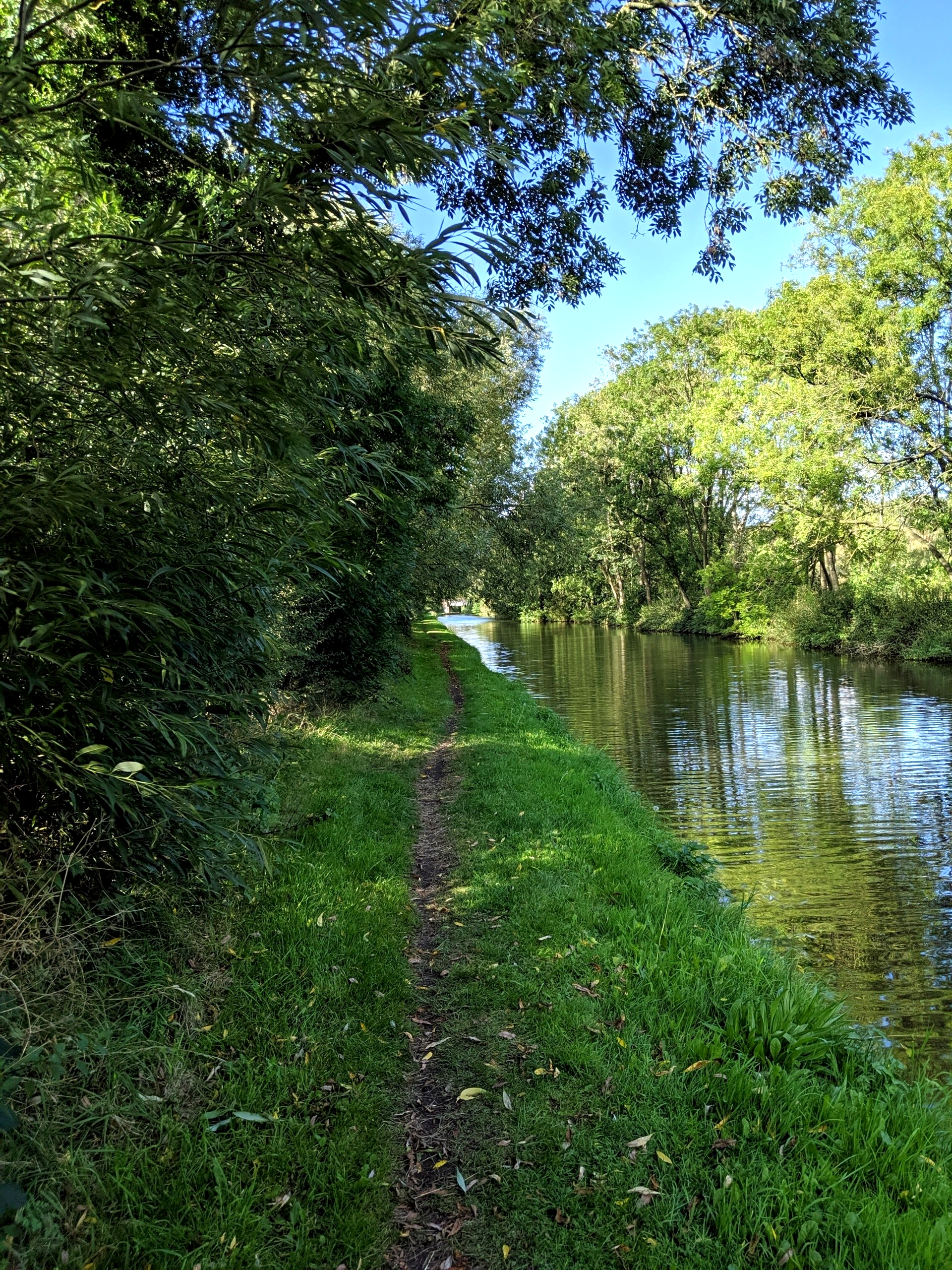 Waterways Gallery - Photograph by Sue Cartwright, Spiral Leaf