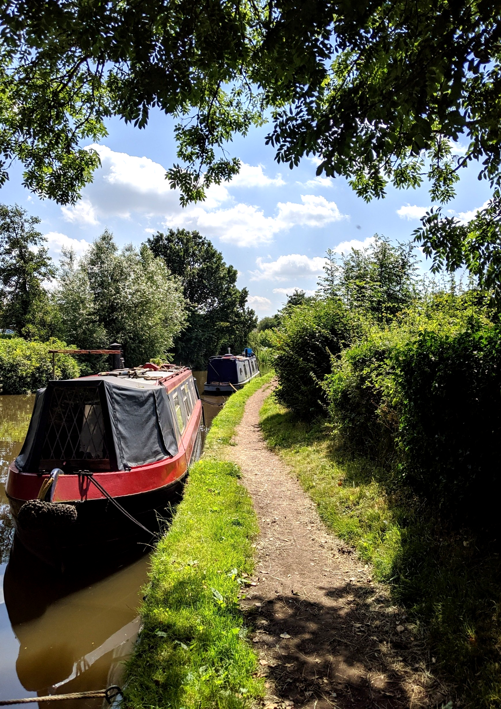 Waterways Gallery - Photograph by Sue Cartwright, Spiral Leaf