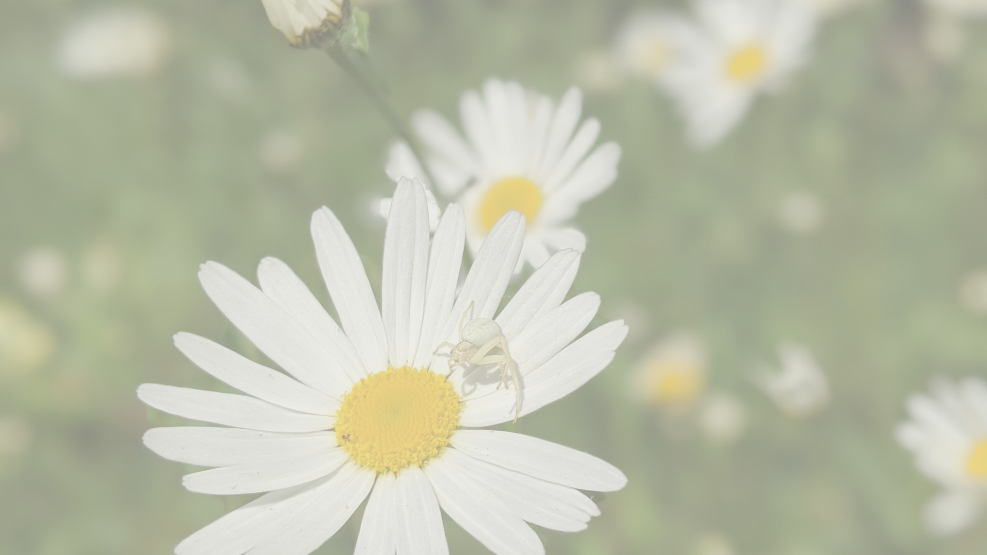 Things to do to get closer to Nature in April