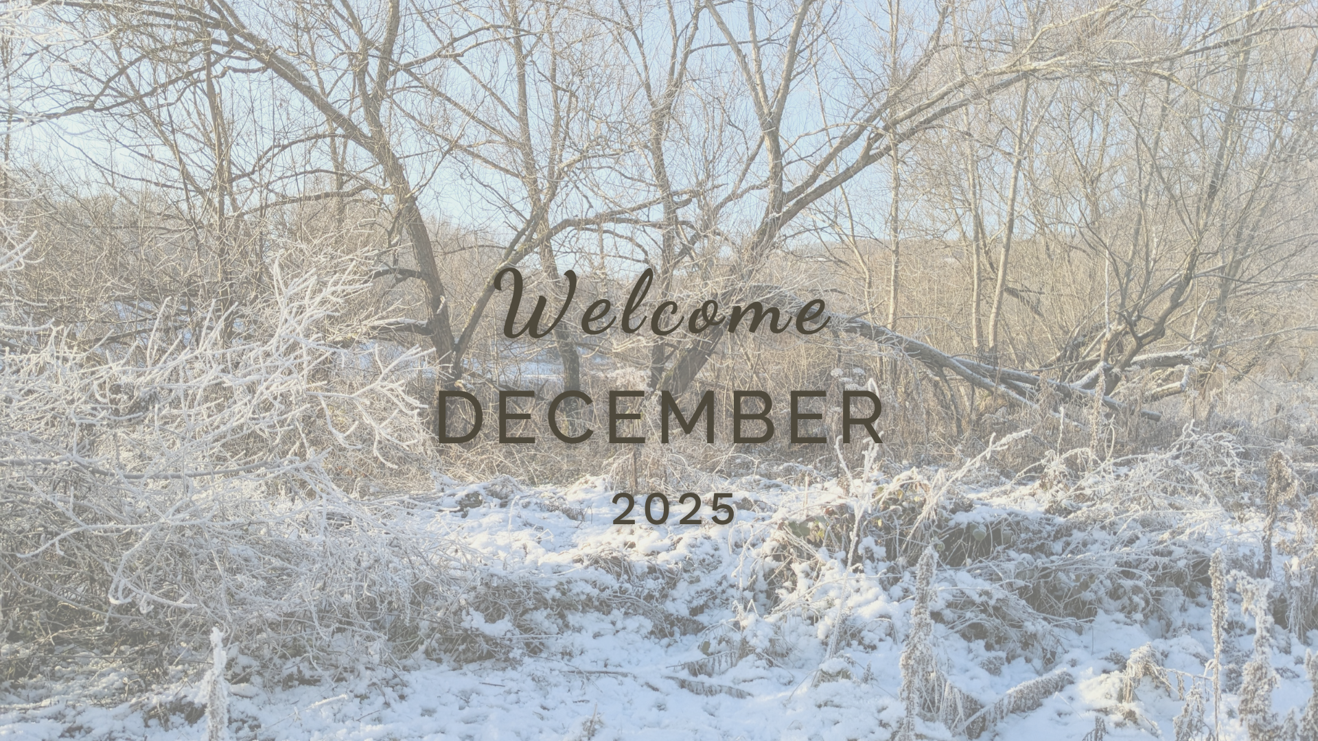 Dates and inspiration for things to do in Nature in December 2025