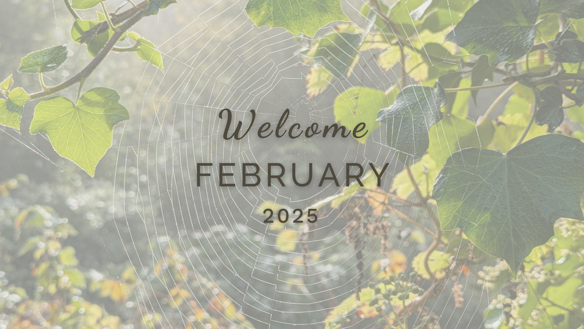 Welcome February (Almanac 2025) by Sue Cartwright, Spiral Leaf