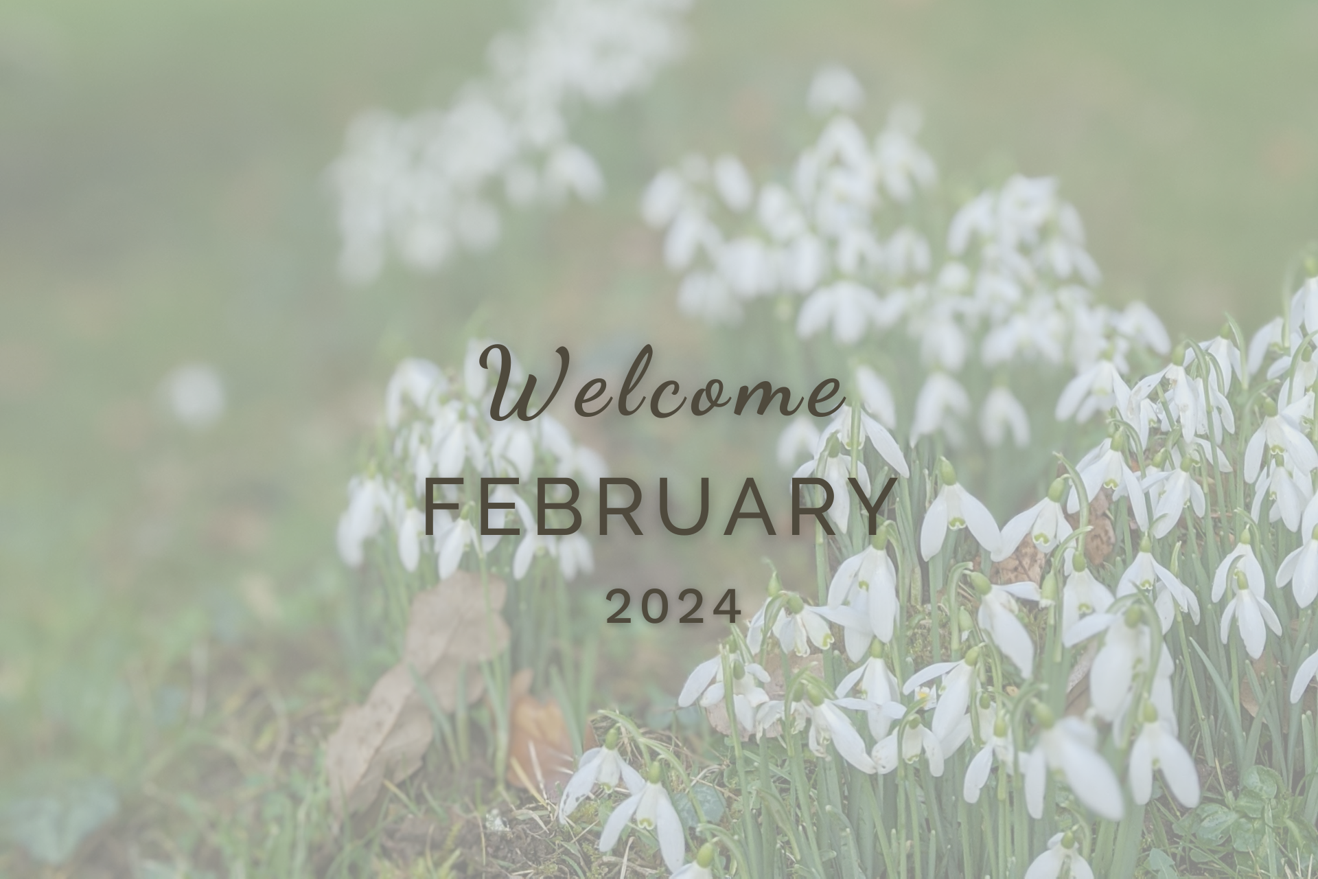 Welcome February (Almanac 2024) by Sue Cartwright, Spiral Leaf