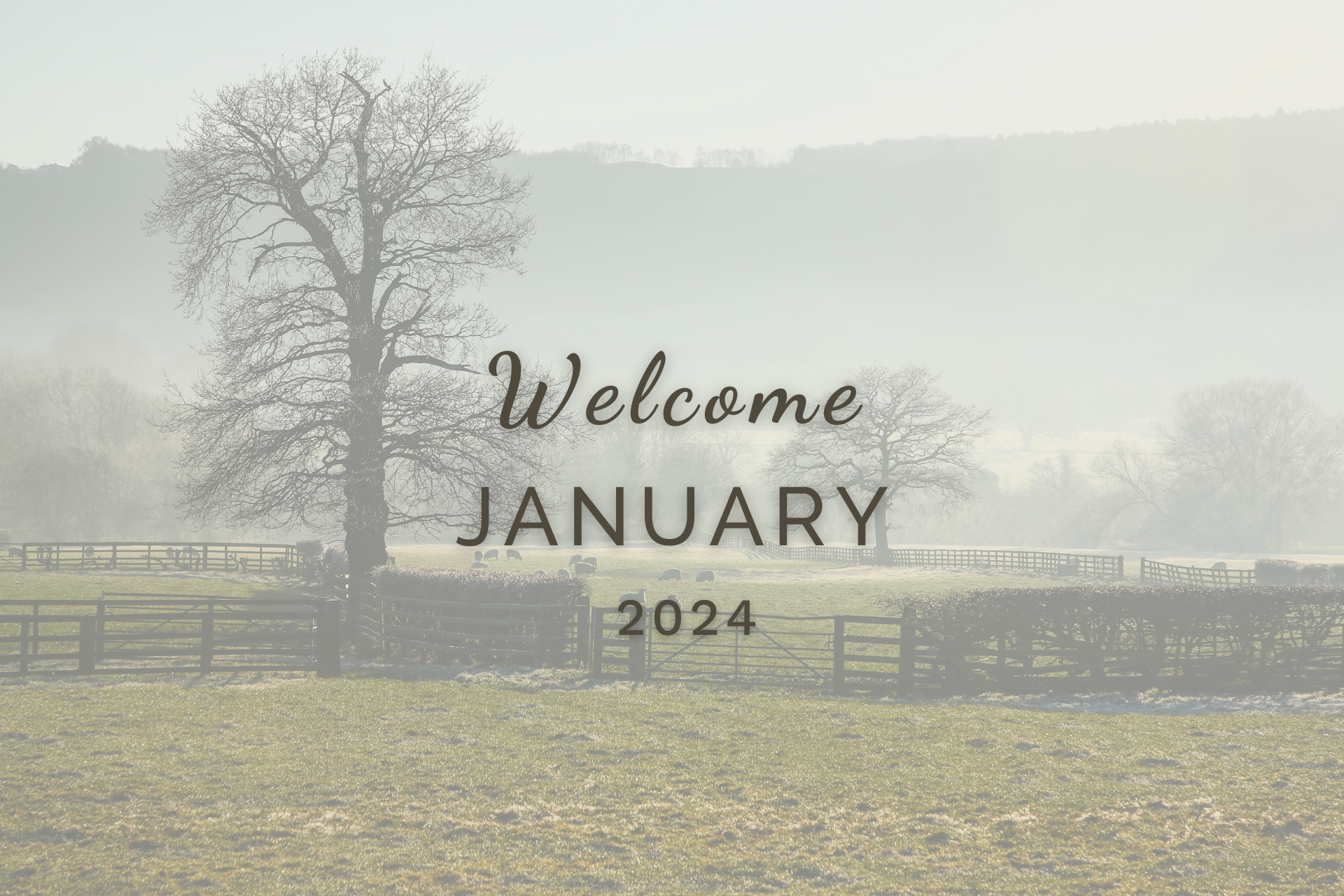 Welcome January by Sue Cartwright, Spiral Leaf
