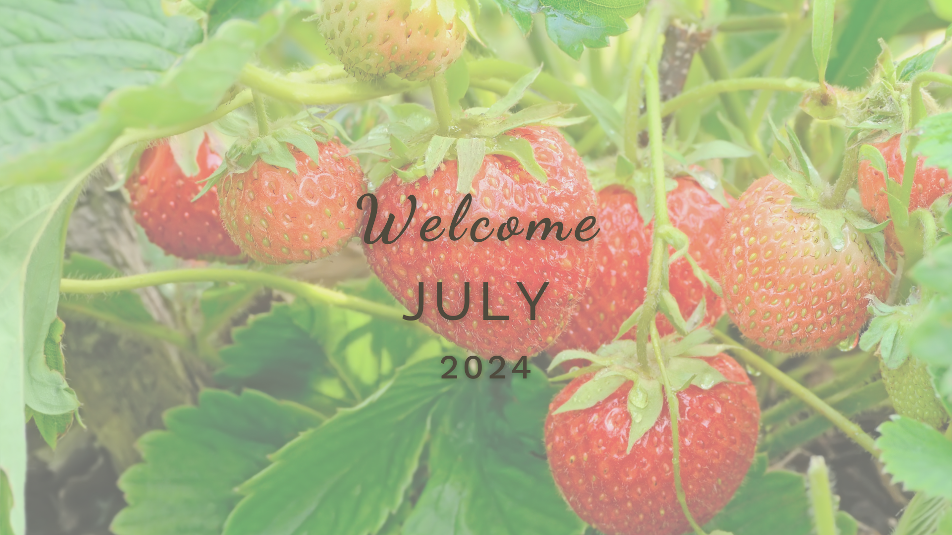 Welcome July (Almanac 2024) by Sue Cartwright, Spiral Leaf